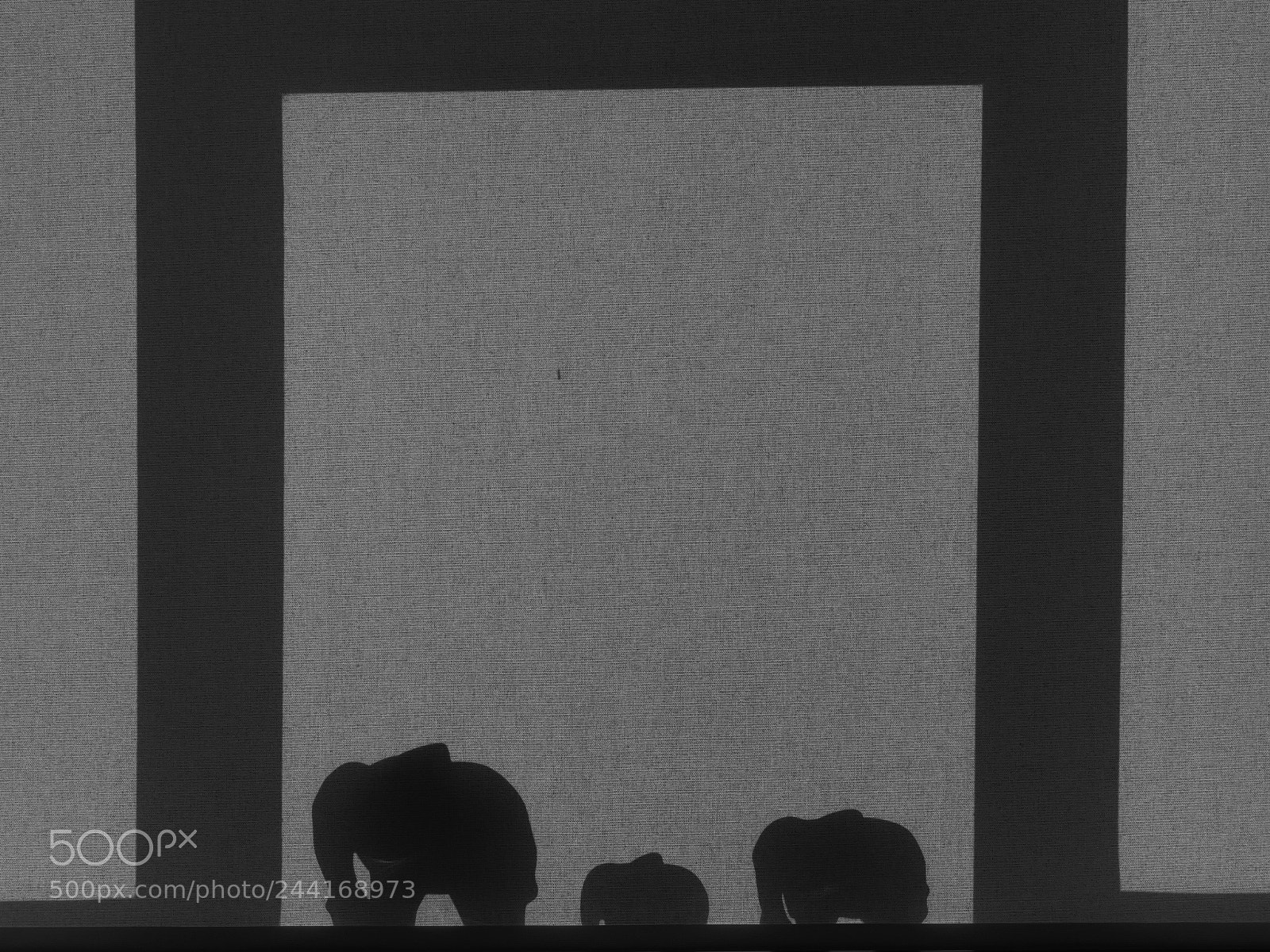 Panasonic Lumix DC-GH5 sample photo. Elephant shadow photography