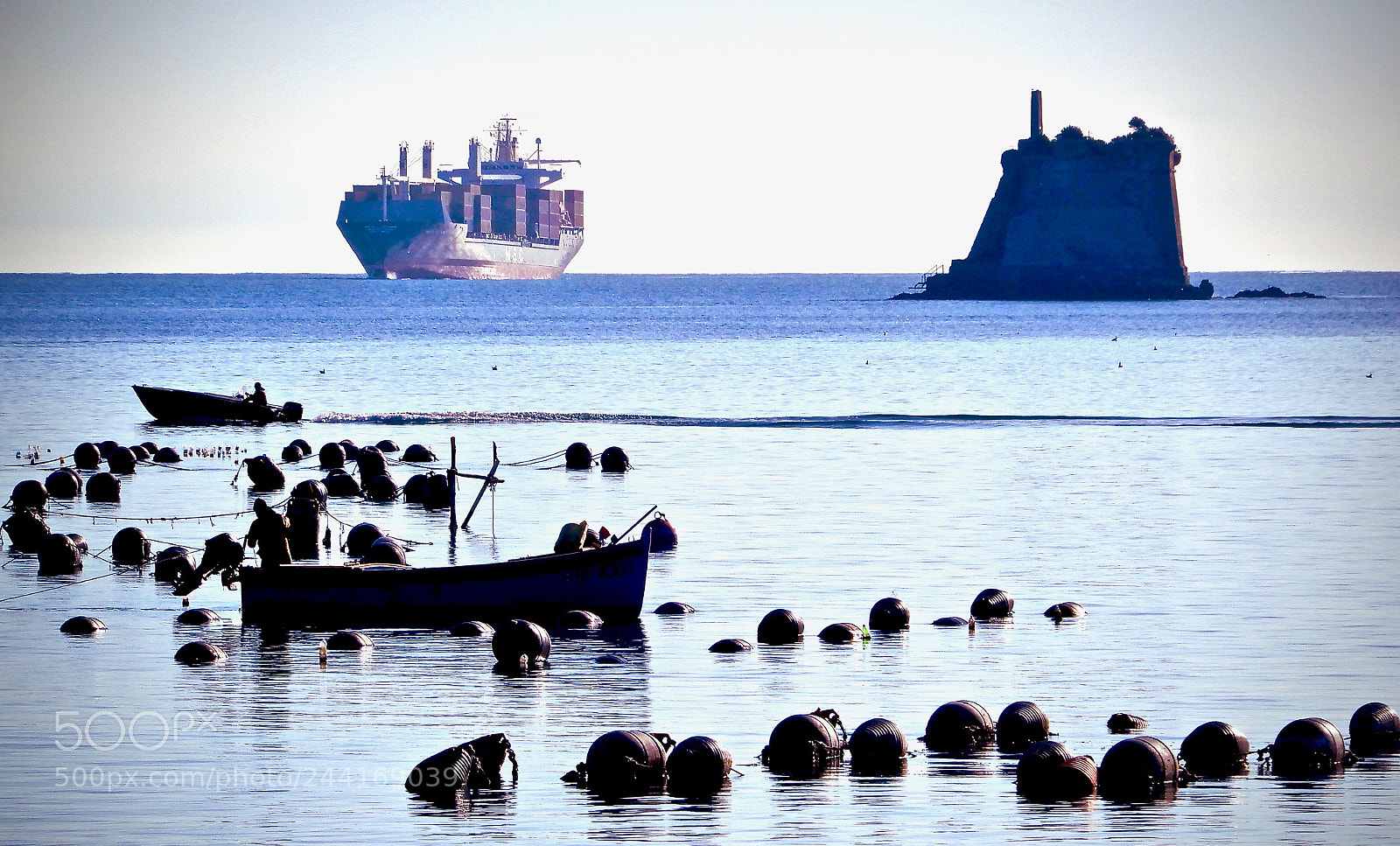 Nikon Coolpix A900 sample photo. Mussels crop, container ship photography
