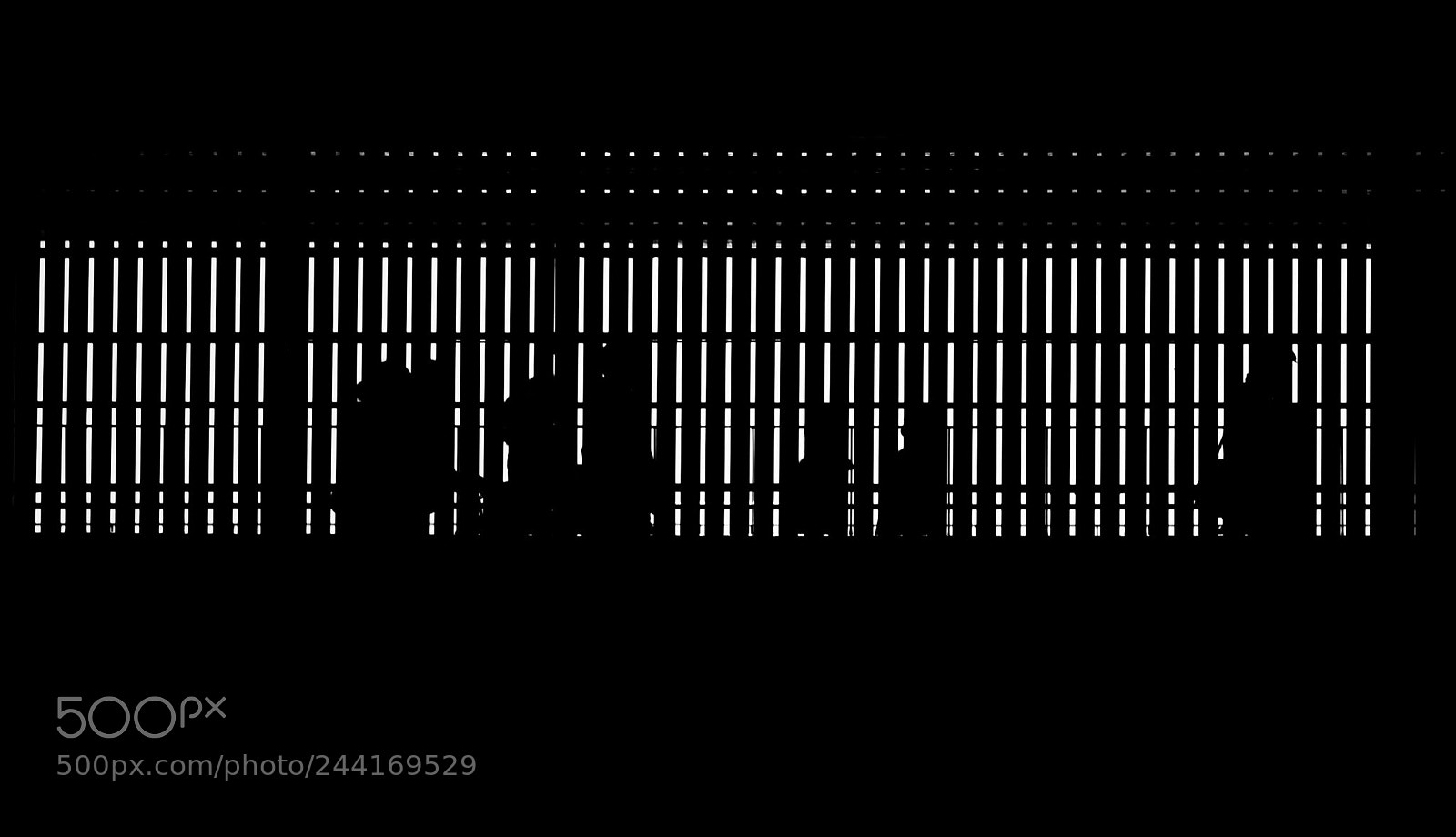 Canon EOS-1D X Mark II sample photo. Silhouette photography