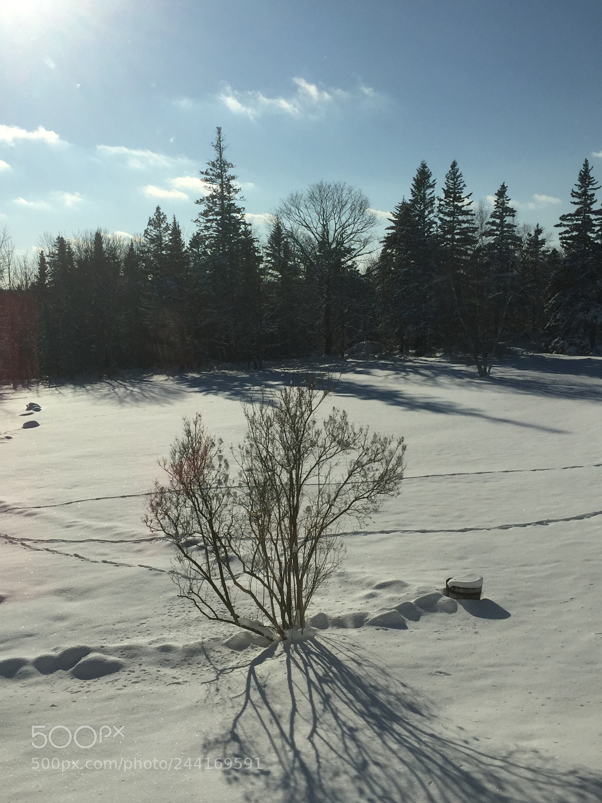 Apple iPhone 6 sample photo. Beautiful snow in  maine photography