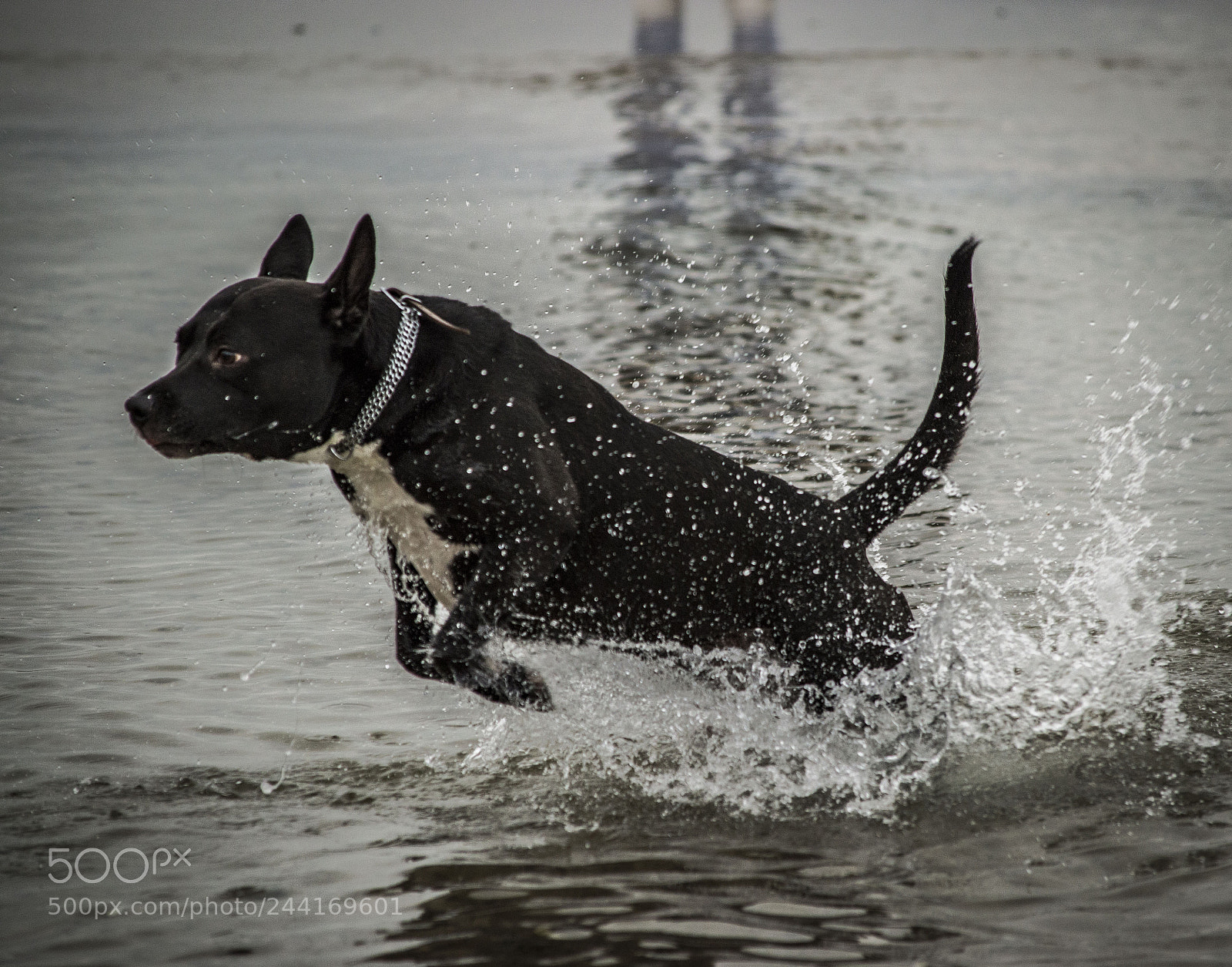 Nikon D3200 sample photo. Untitled photography