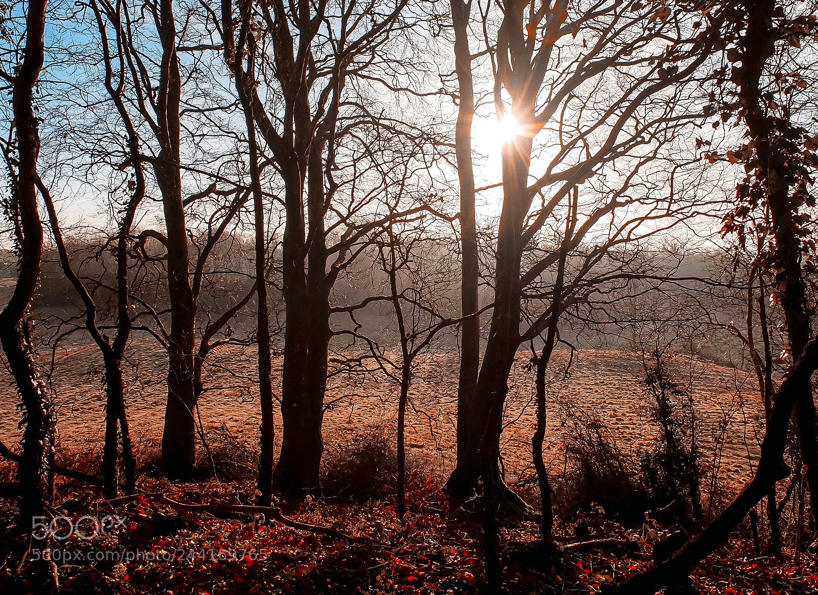 Fujifilm X10 sample photo. Early morning hike photography