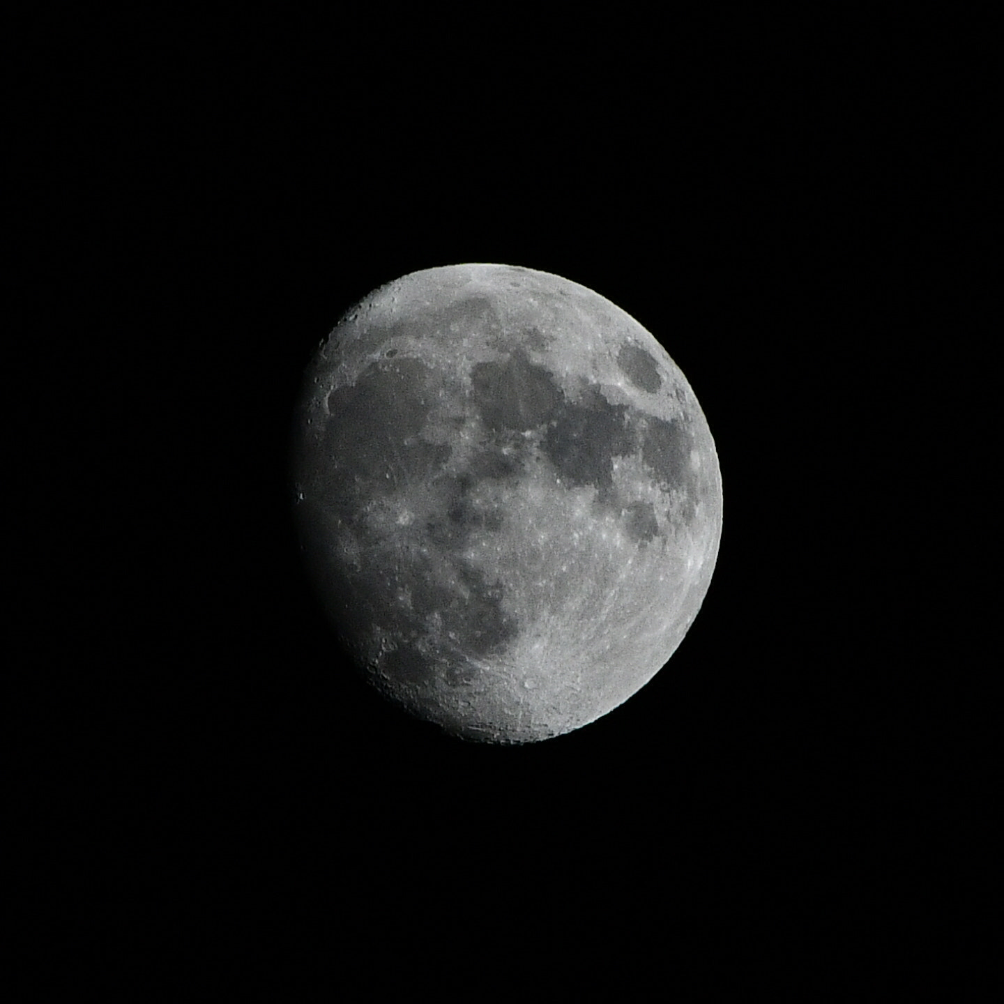 Nikon D500 sample photo. Moonlightshadow photography