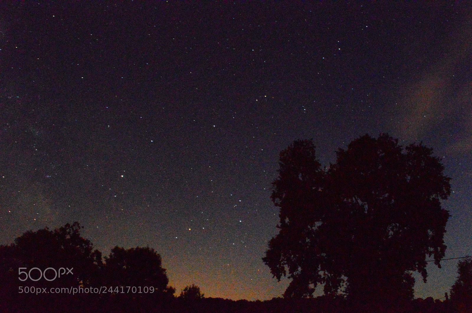 Nikon D3200 sample photo. Untitled photography