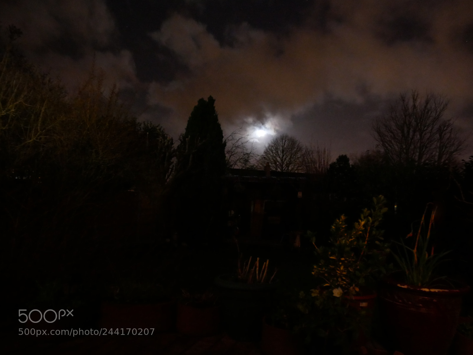 Panasonic Lumix DMC-G85 (Lumix DMC-G80) sample photo. Winter moonlight photography