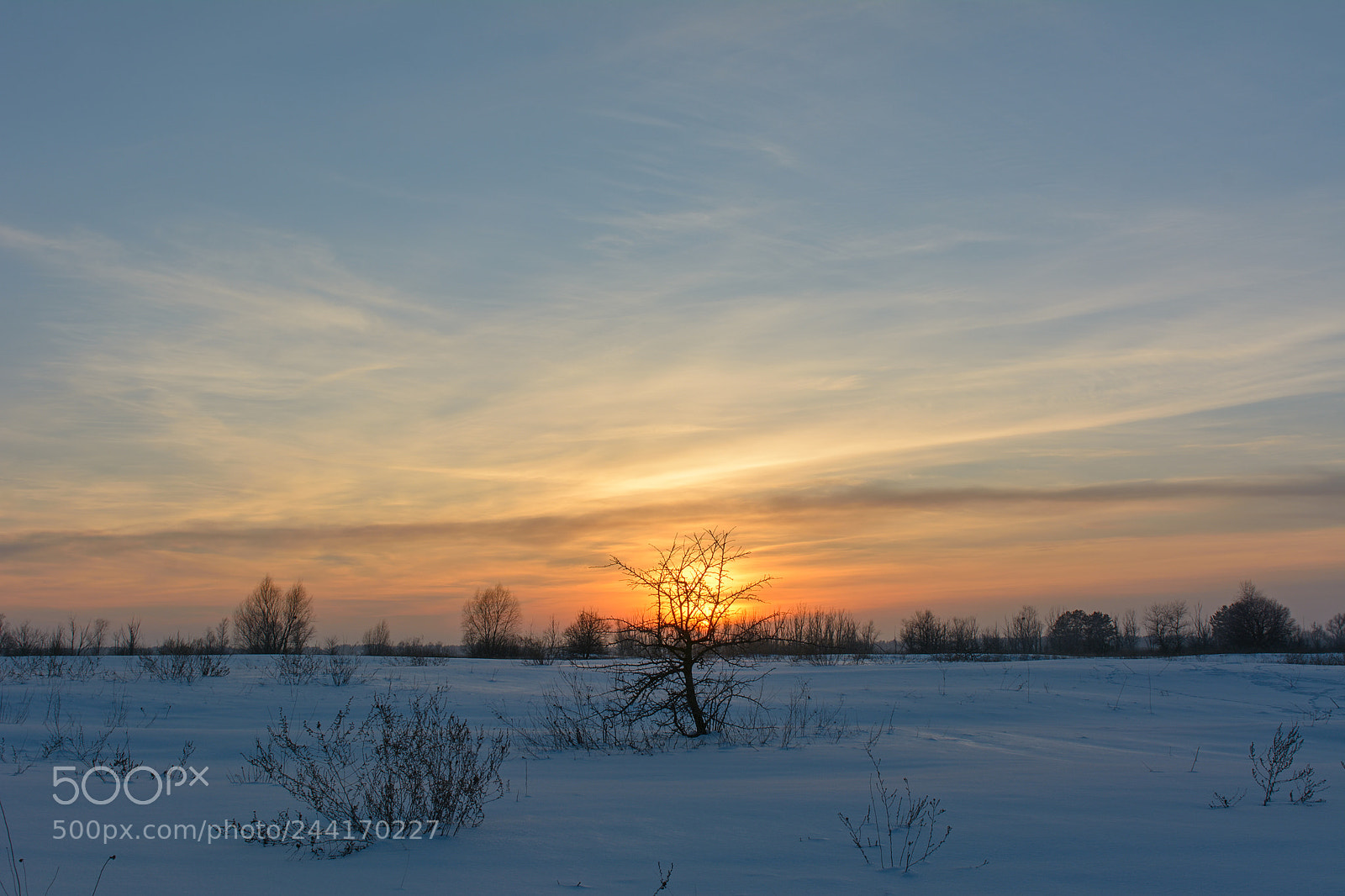 Nikon D7100 sample photo. Winter evening photography