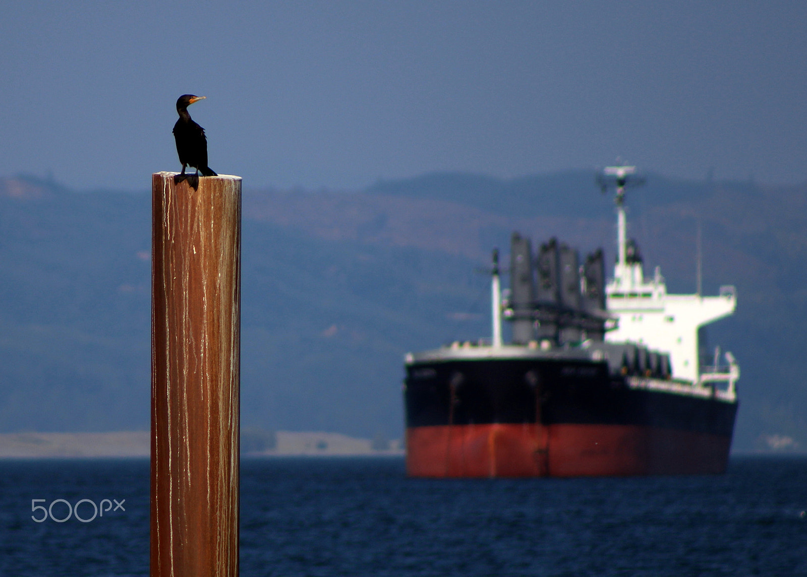EF75-300mm f/4-5.6 sample photo. Port astoria photography