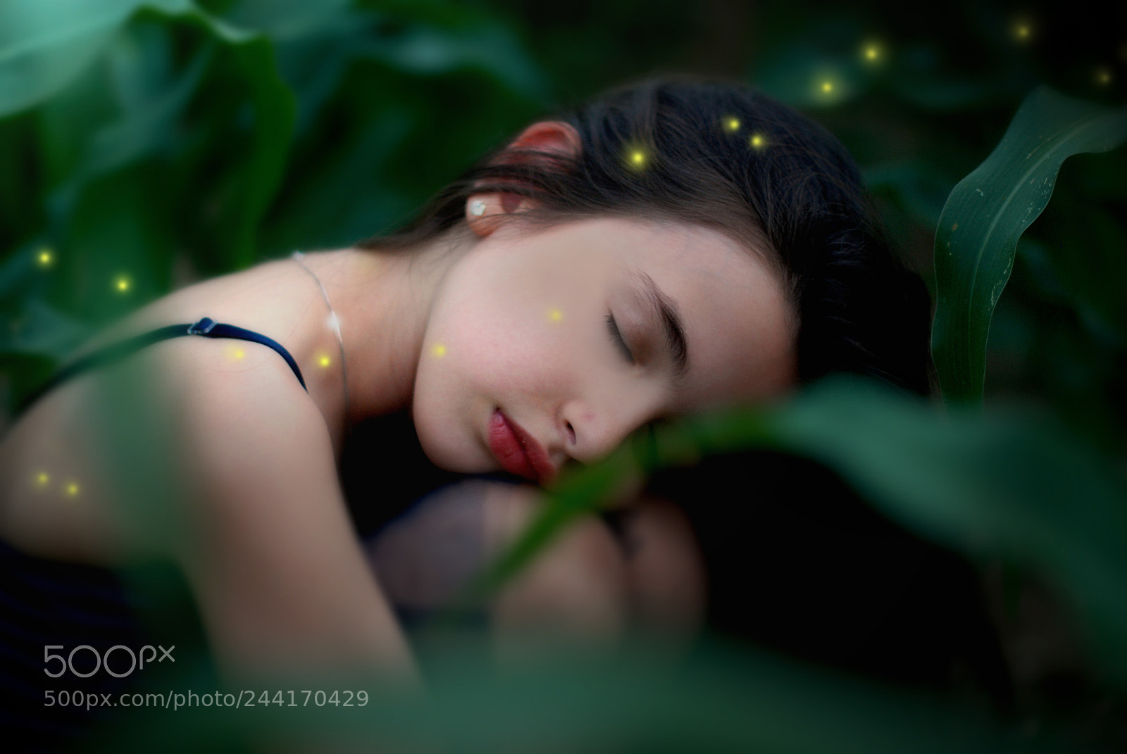 Nikon D80 sample photo. Sweet dreams photography