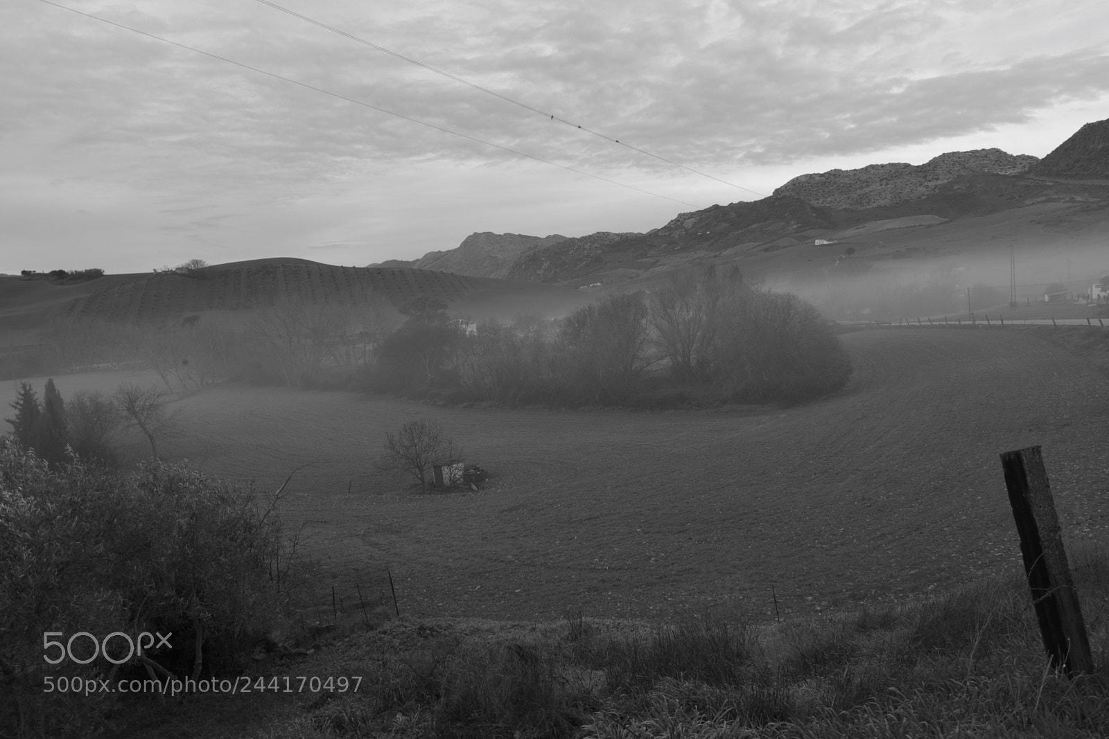 Fujifilm X-M1 sample photo. Mist over the trees photography