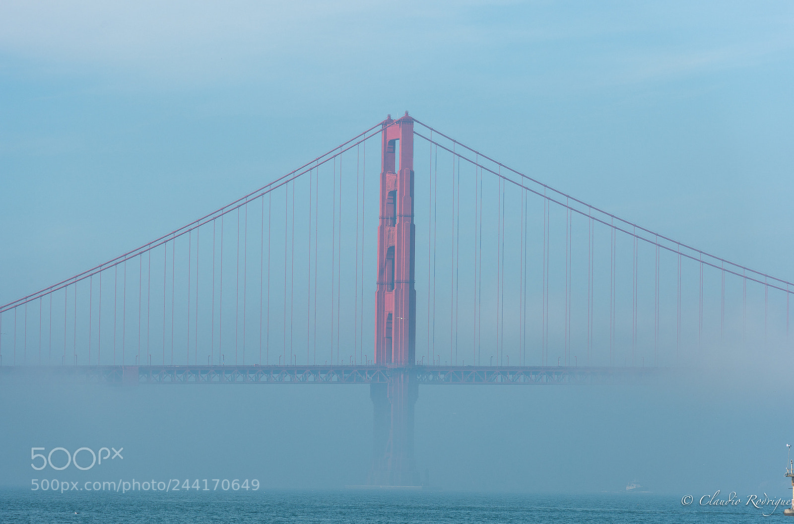 Nikon D850 sample photo. Fog in san francisco photography