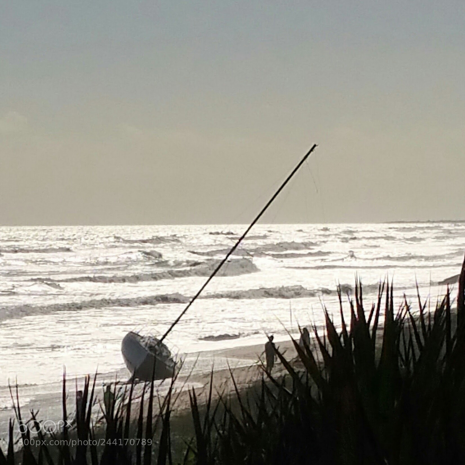Samsung Galaxy Note4 sample photo. Washed ashore photography