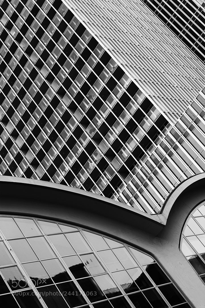 Nikon D800 sample photo. Rotterdam #04 photography
