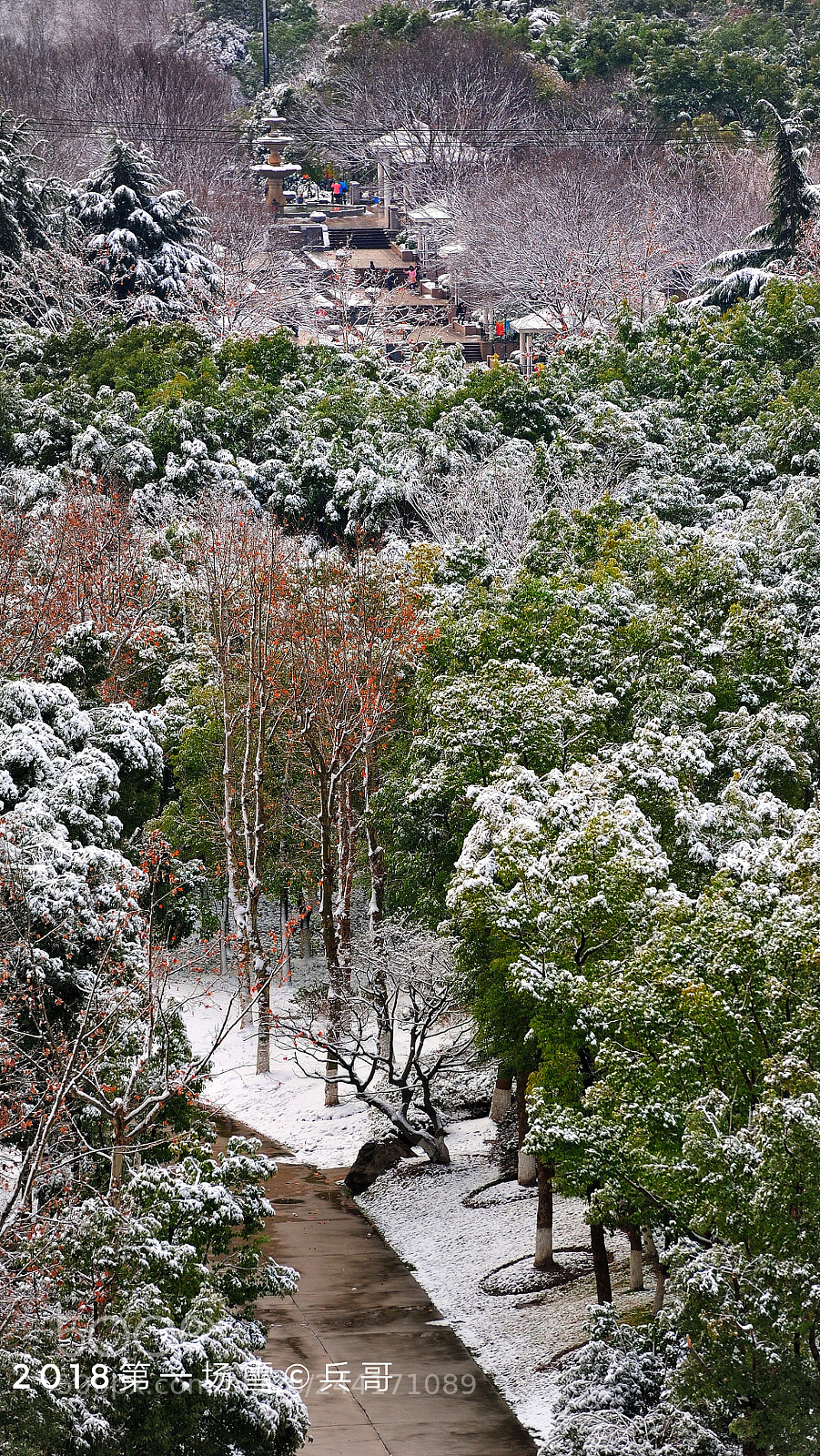 Nikon D700 sample photo. 2018 first snow in shanghai photography