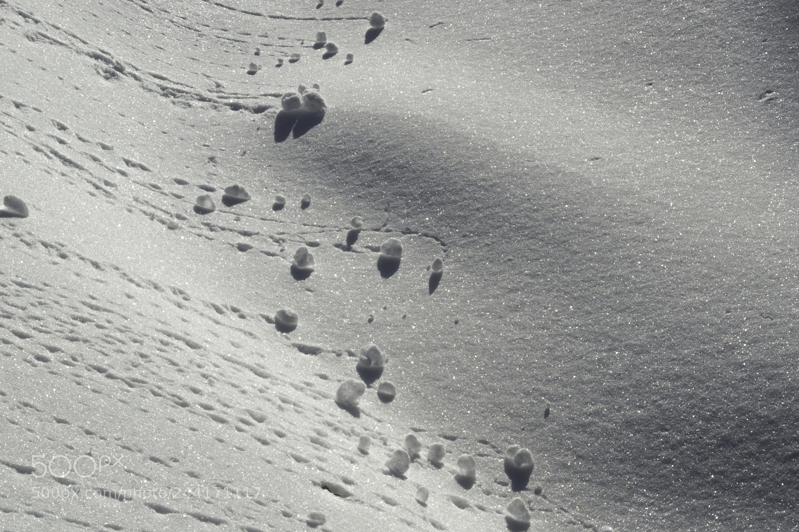 Nikon D7000 sample photo. Patterns in the snow photography