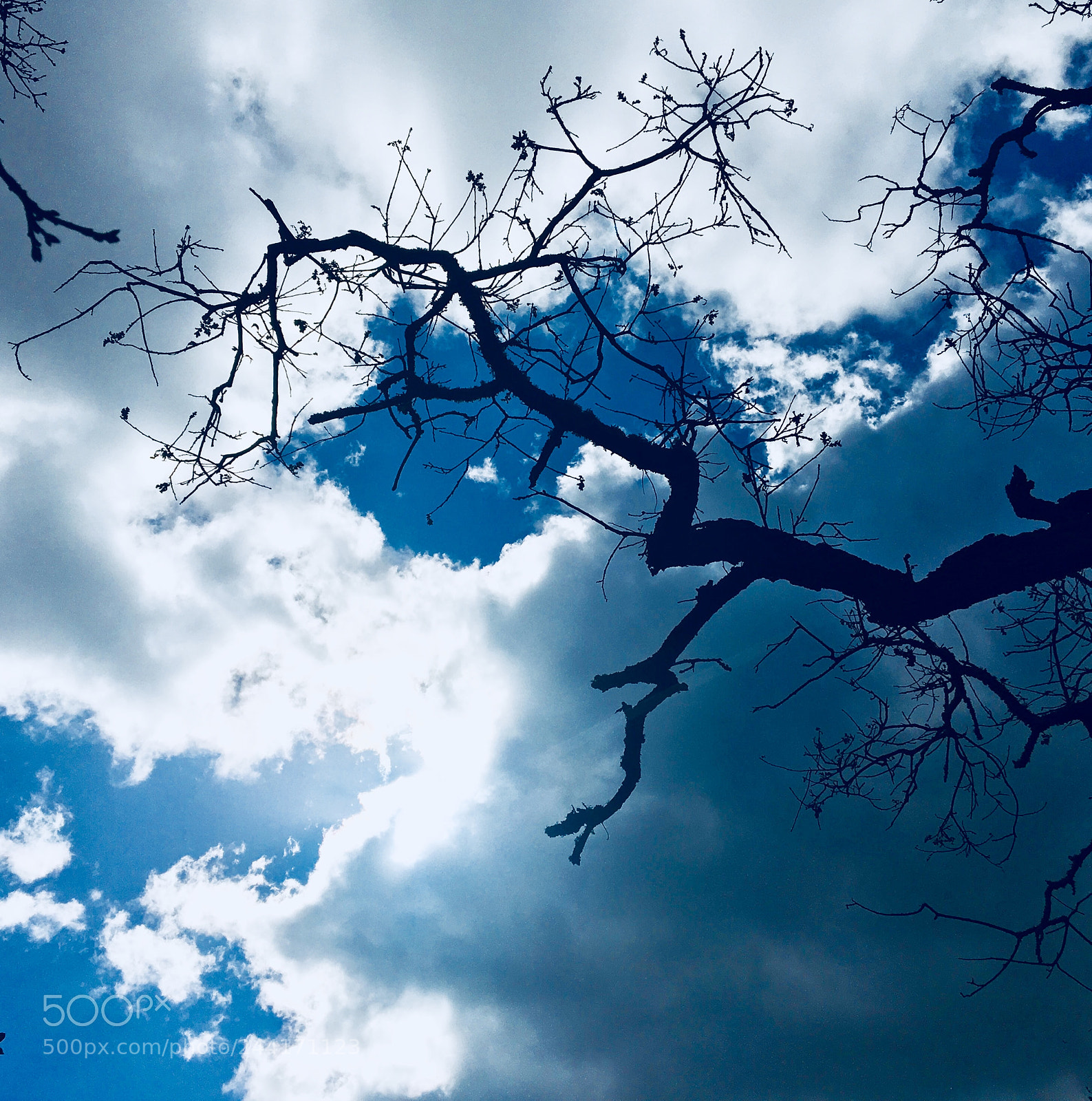 Apple iPhone 6s sample photo. Heavenly clouds photography