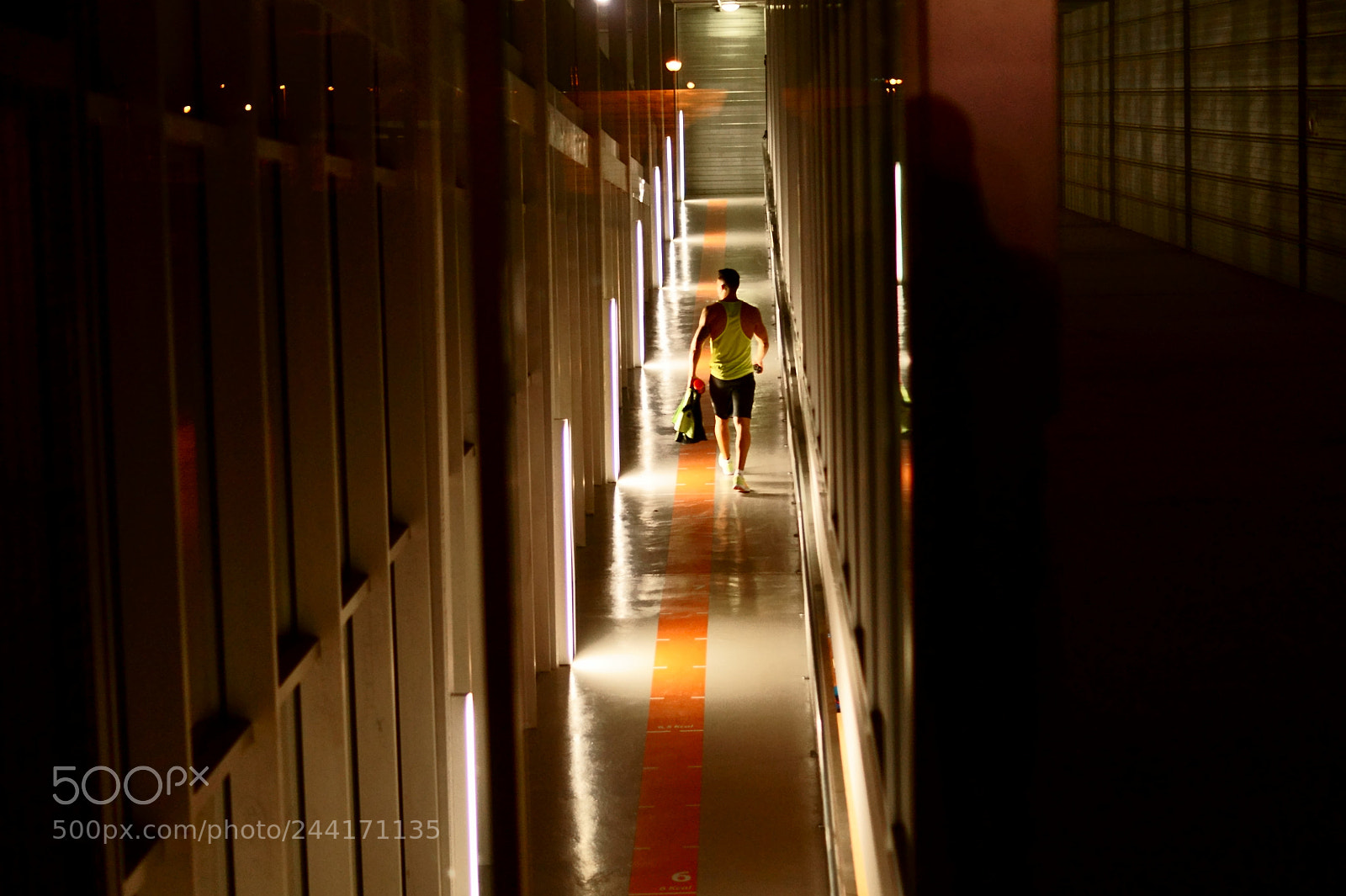 Sony SLT-A58 sample photo. Fitness. photography