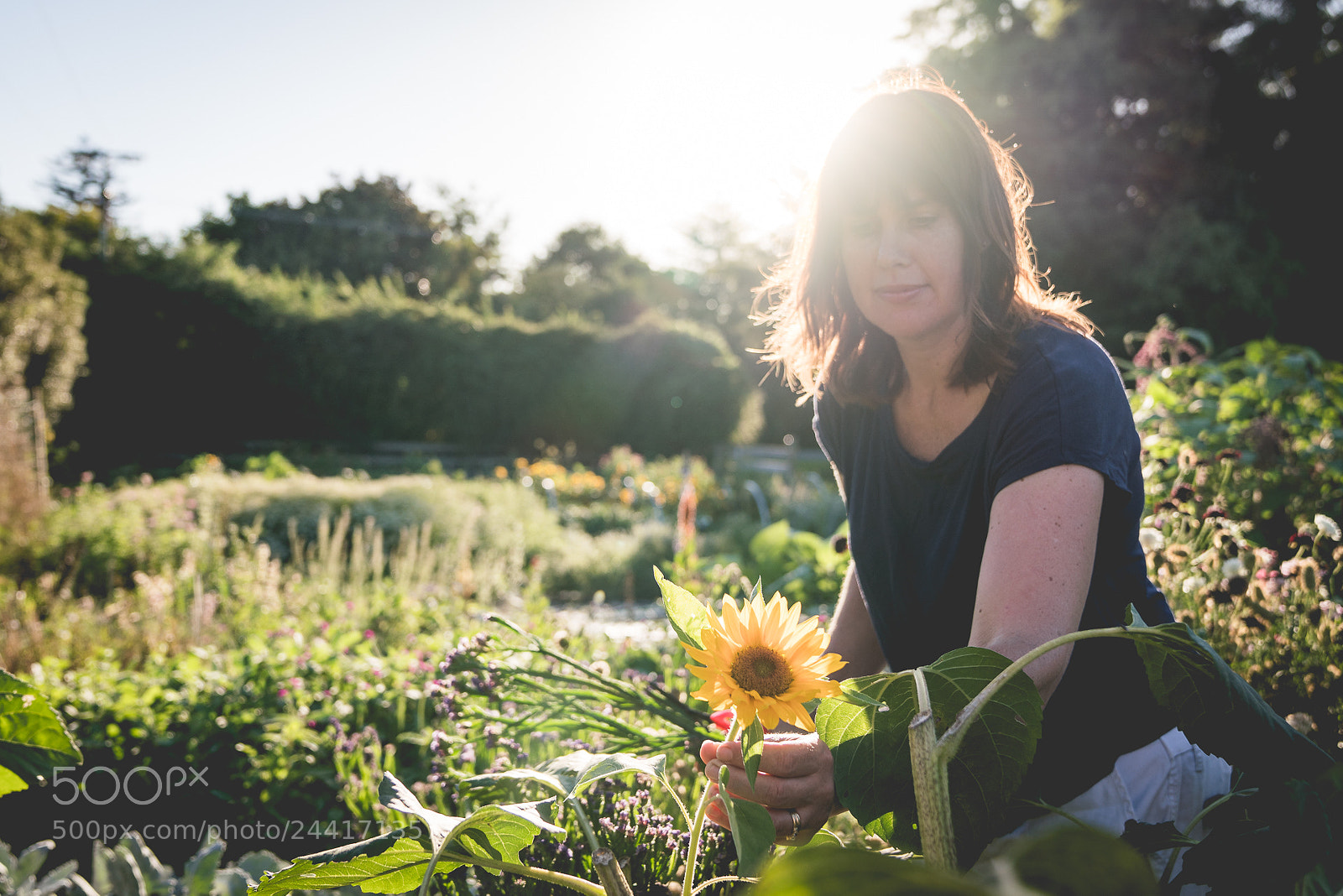 Sony a7R III sample photo. Sinclair family photography