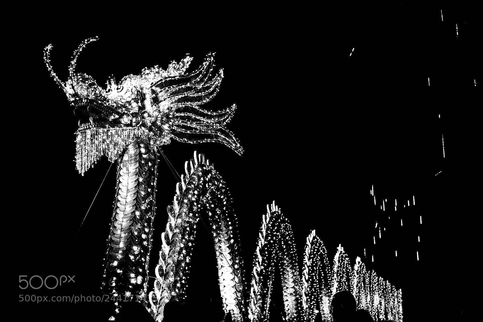 Nikon D3 sample photo. Dragon wandering photography
