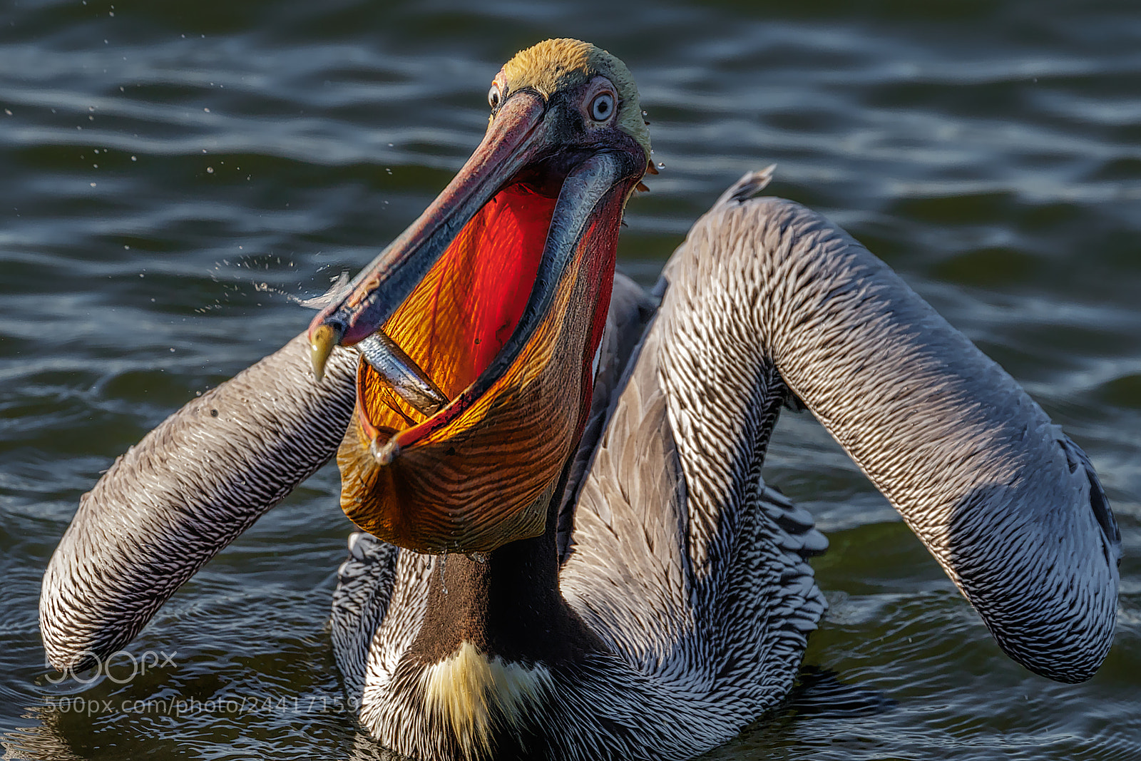 Canon EOS 7D Mark II sample photo. An exclusive look inside... photography