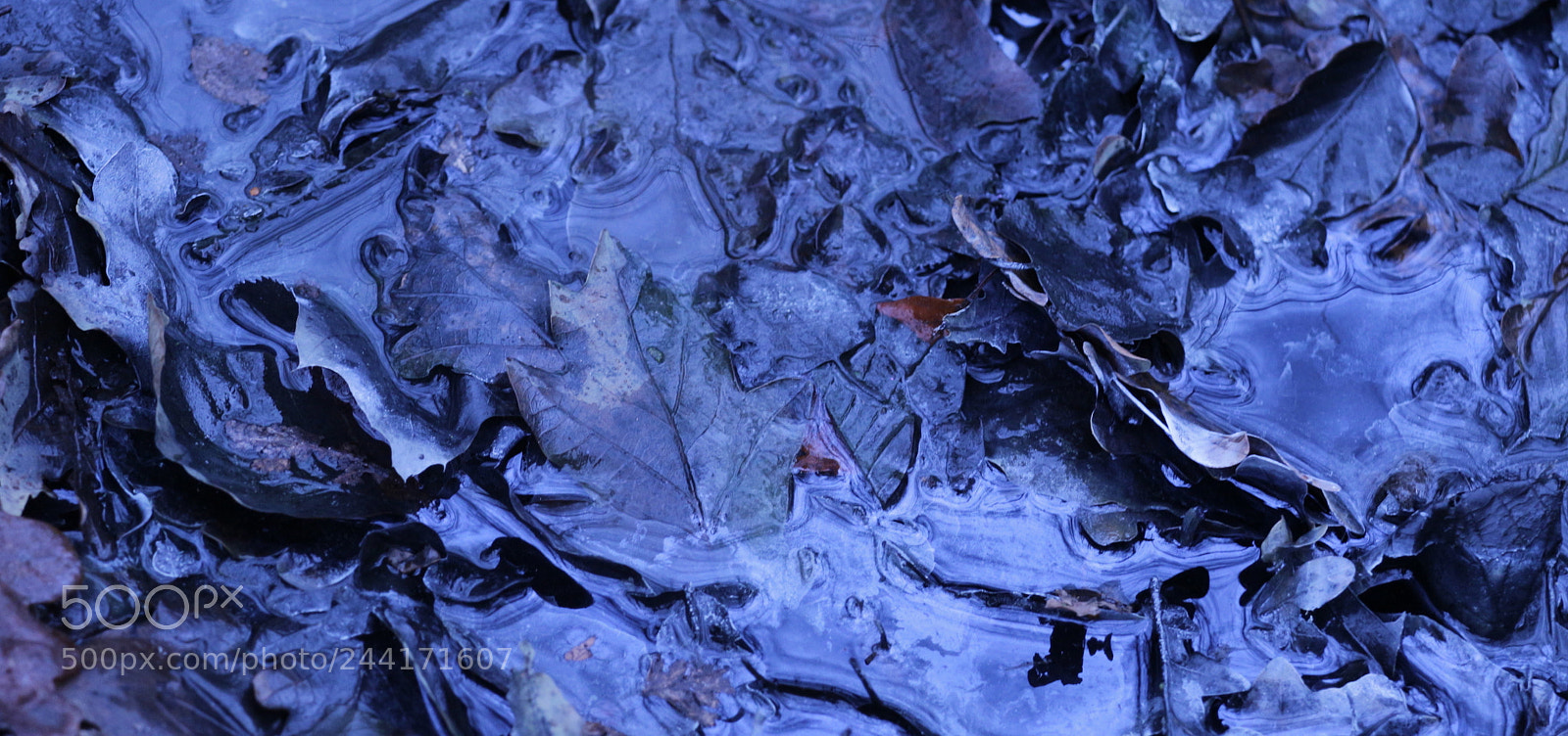 Canon EOS M sample photo. 6 photography