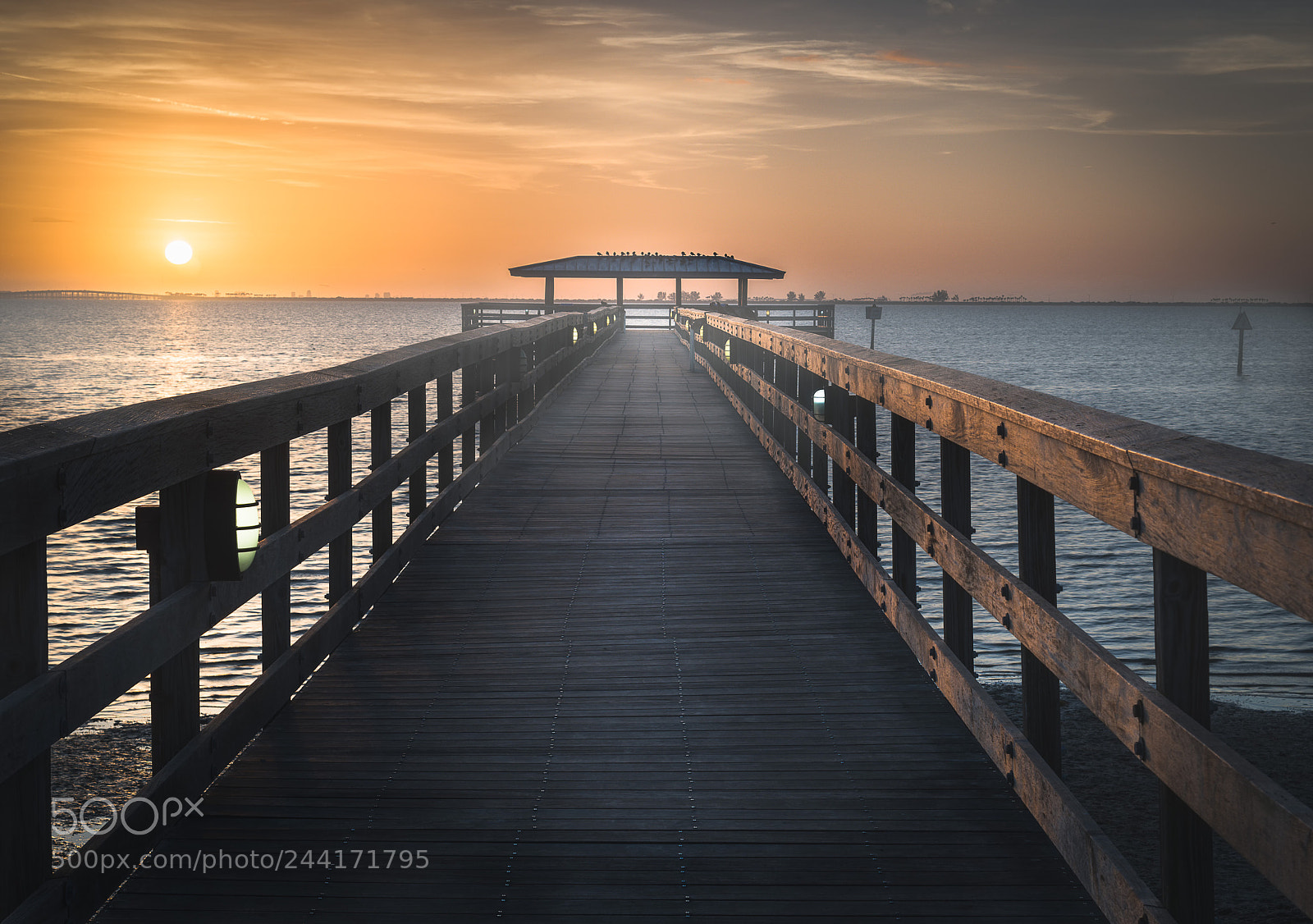 Nikon D810 sample photo. Morning haze photography