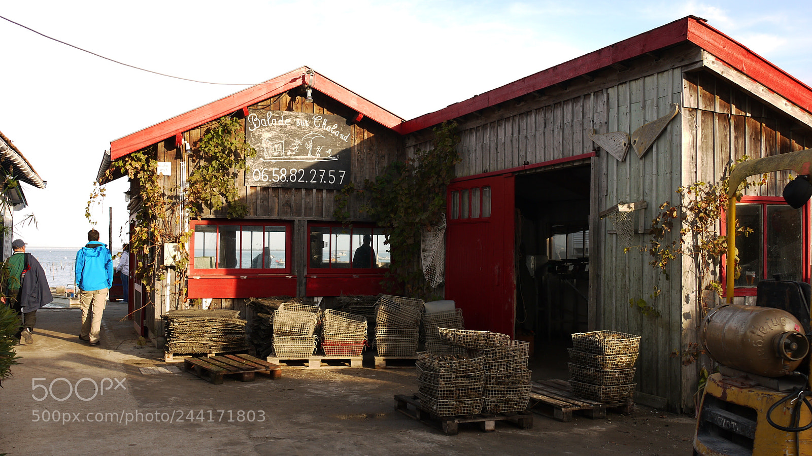 Panasonic Lumix DMC-GF1 sample photo. Ostr iculture au bassin photography