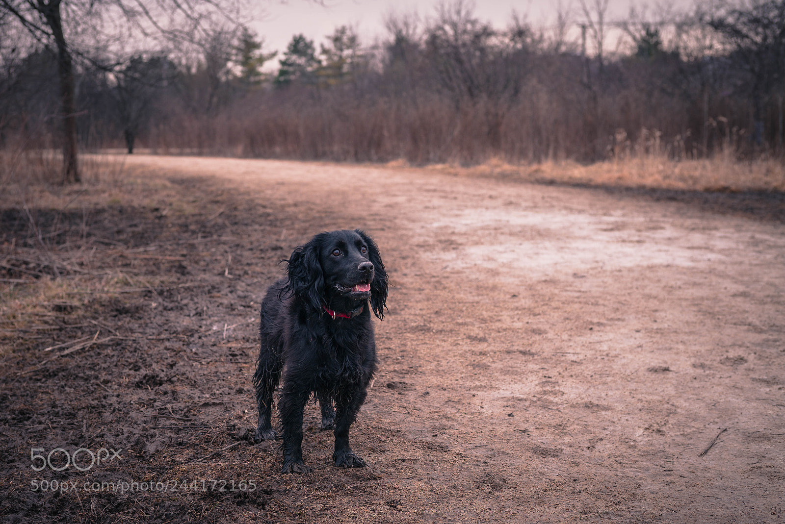 Leica M (Typ 240) sample photo. L1002077.jpg photography