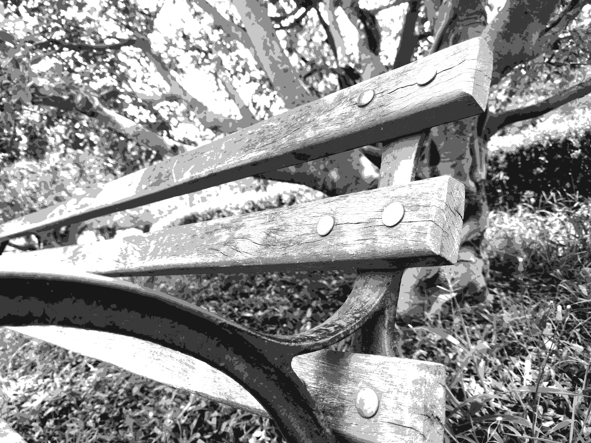 Motorola Moto X Style sample photo. Park bench photography