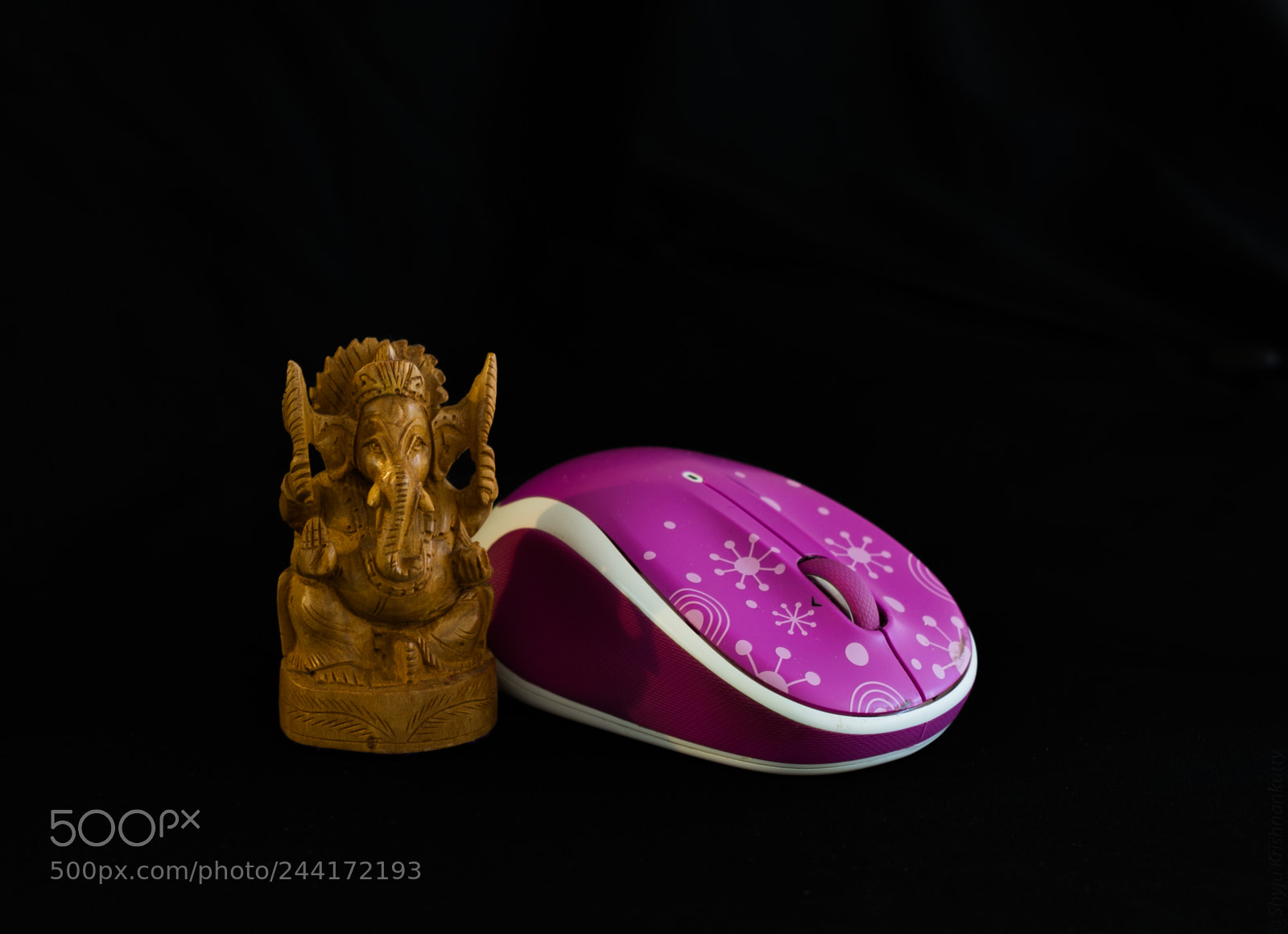 Nikon D610 sample photo. Ganesha photography