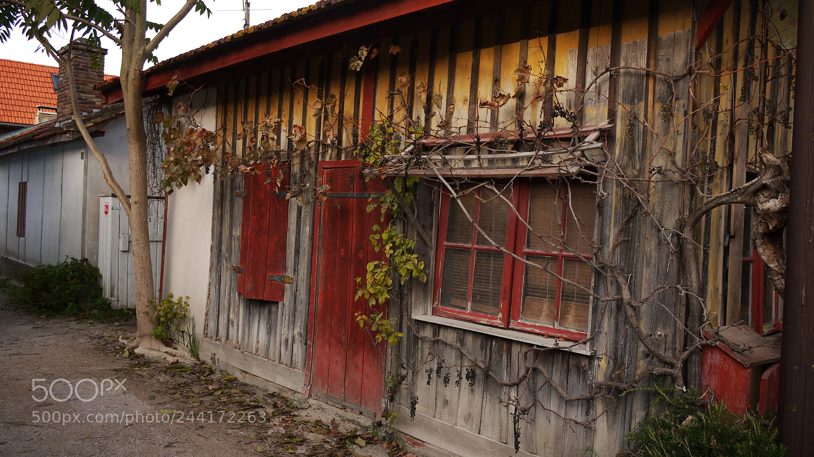 Panasonic Lumix DMC-GF1 sample photo. Ancienne cabane de p photography