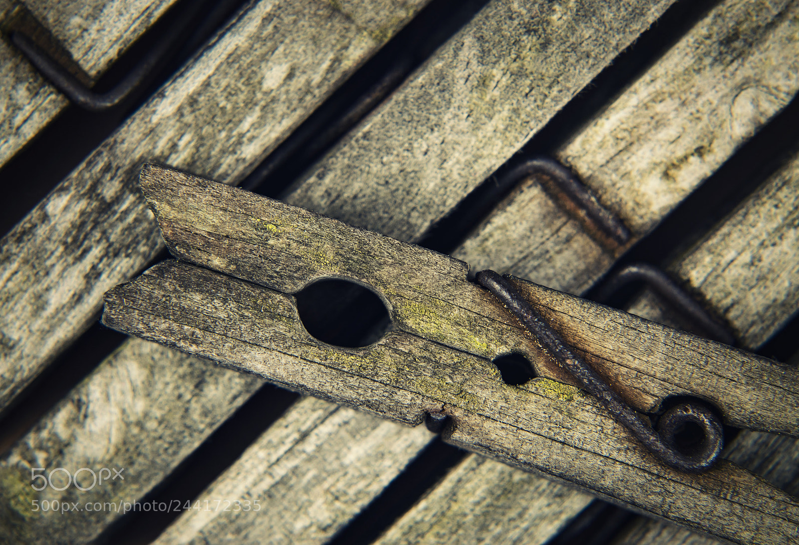 Nikon D5500 sample photo. Old wooden pins for photography
