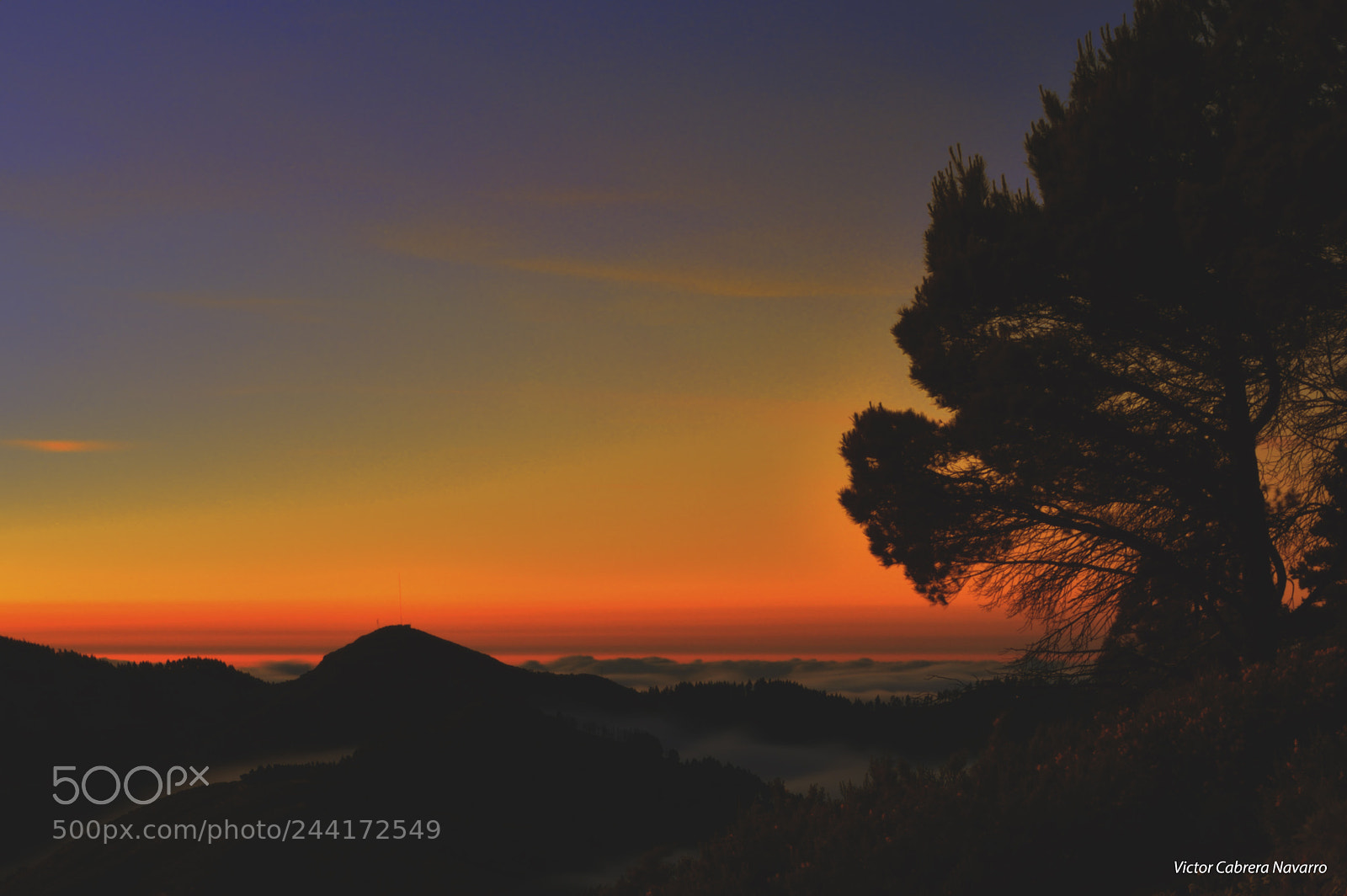 Nikon D3200 sample photo. Desde el sendero de photography