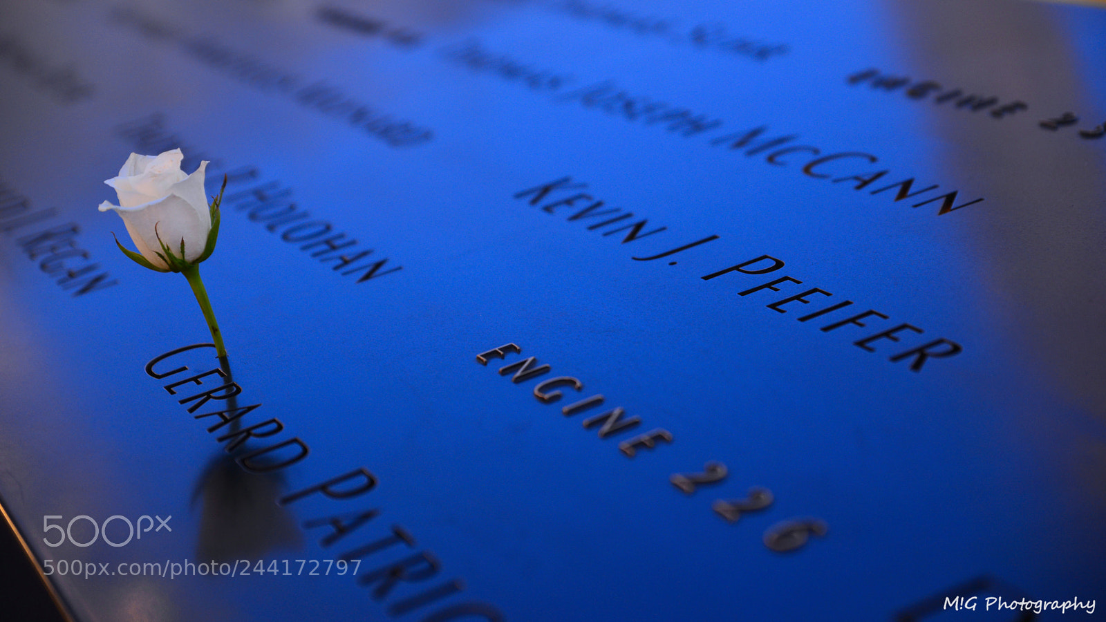 Nikon D610 sample photo. September 11th photography