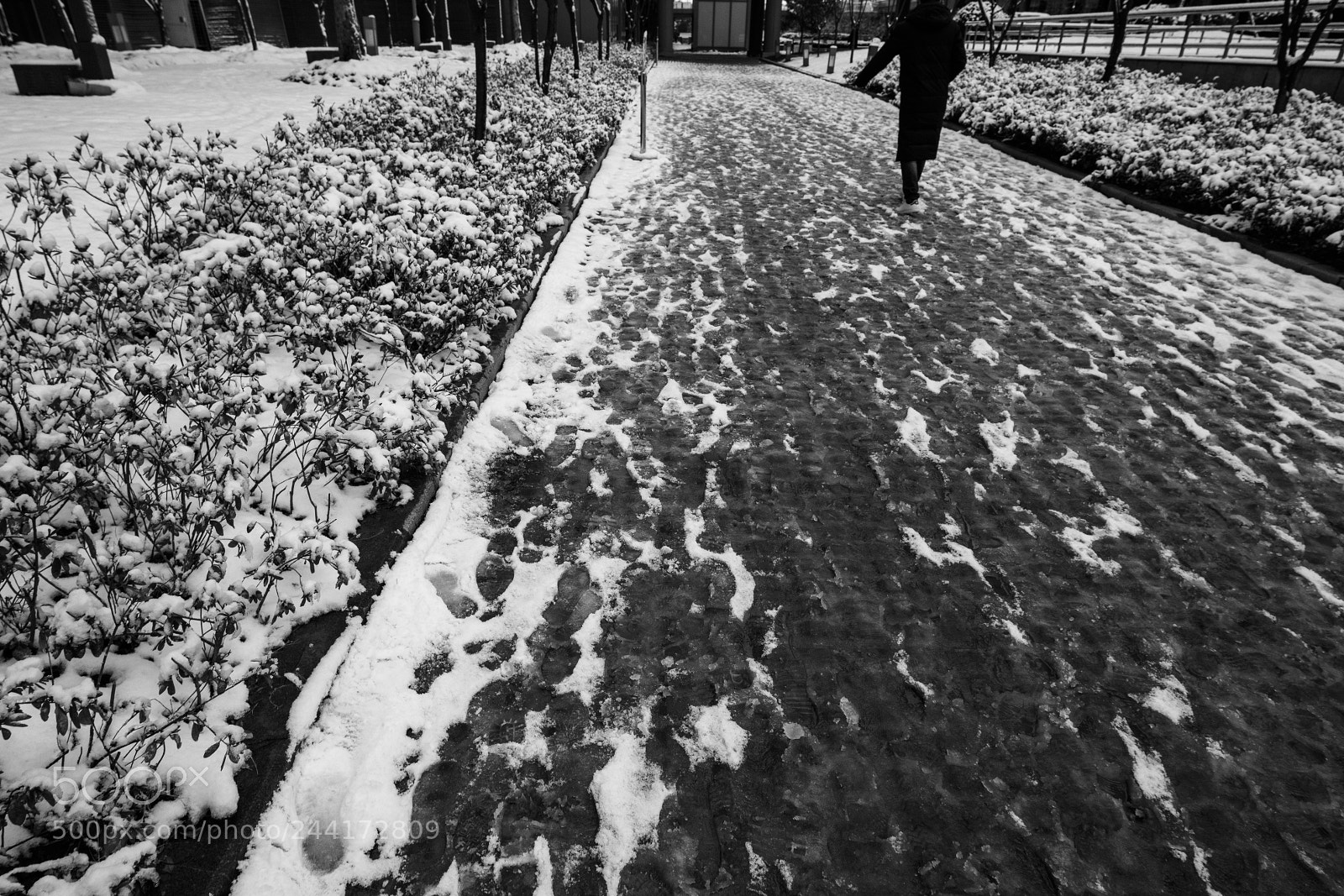 Sony a7R III sample photo. 20180126-082711_01903.jpg photography