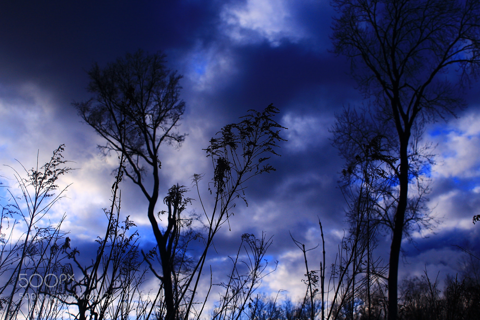 Canon EOS 1300D (EOS Rebel T6 / EOS Kiss X80) sample photo. Beautiful sky photography