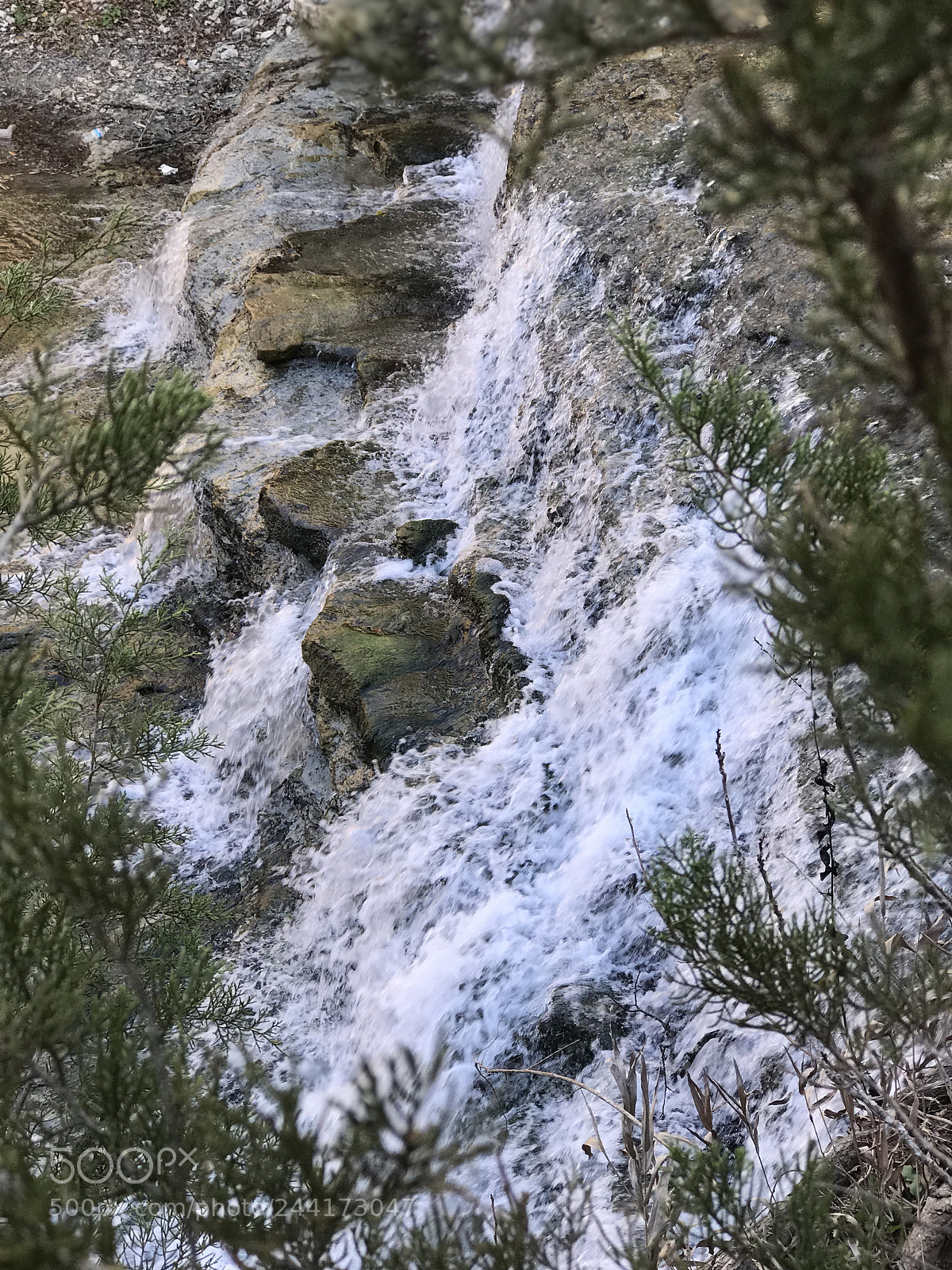 Apple iPhone 7 Plus sample photo. Untitled photography