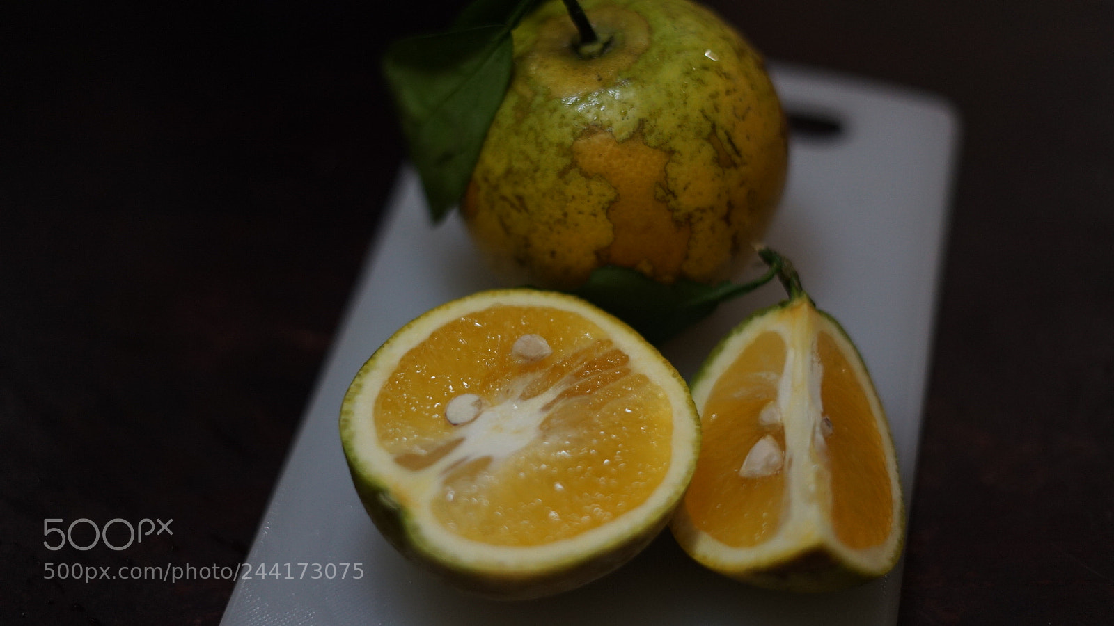 Sony a7 II sample photo. Morning fres photography