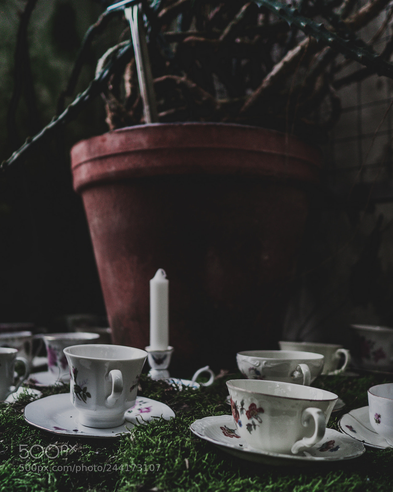 Olympus PEN E-PL8 sample photo. Sunday in the conservatory photography