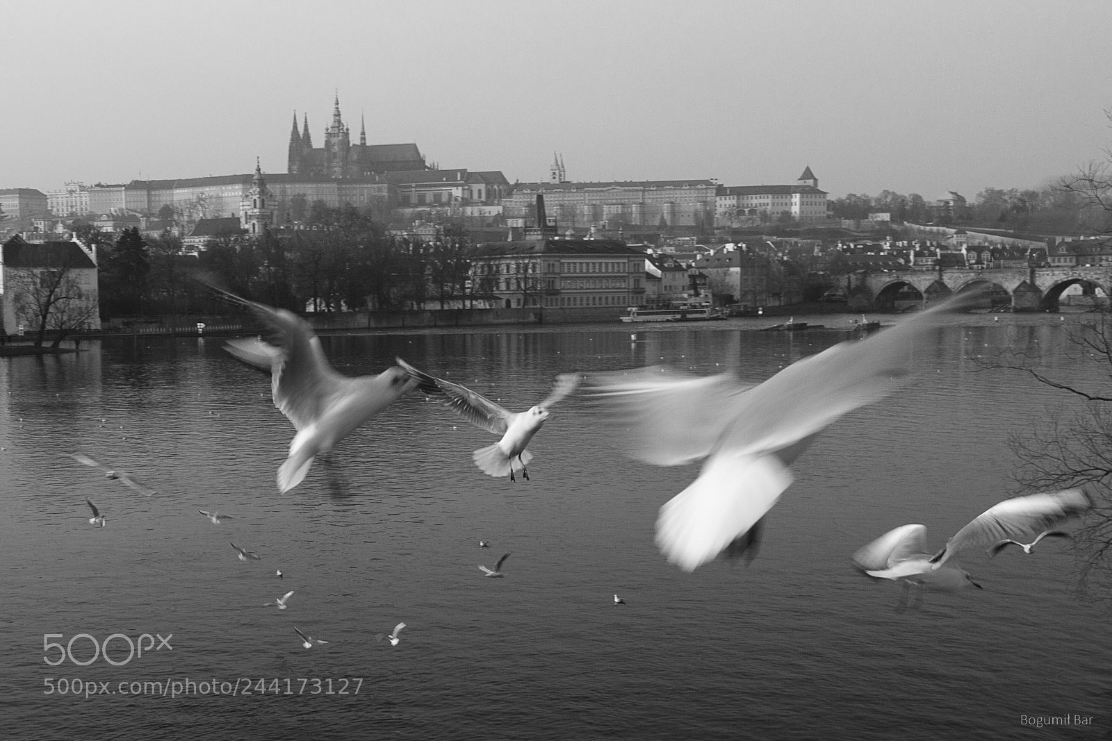 Canon EOS 40D sample photo. Prague photography