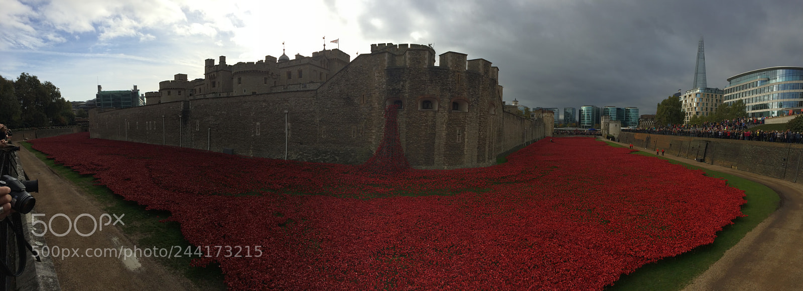 Apple iPhone 5s sample photo. Tower of london poppies photography