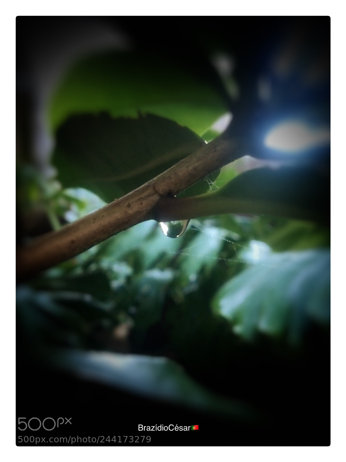 Apple iPhone 6s sample photo. Untitled photography