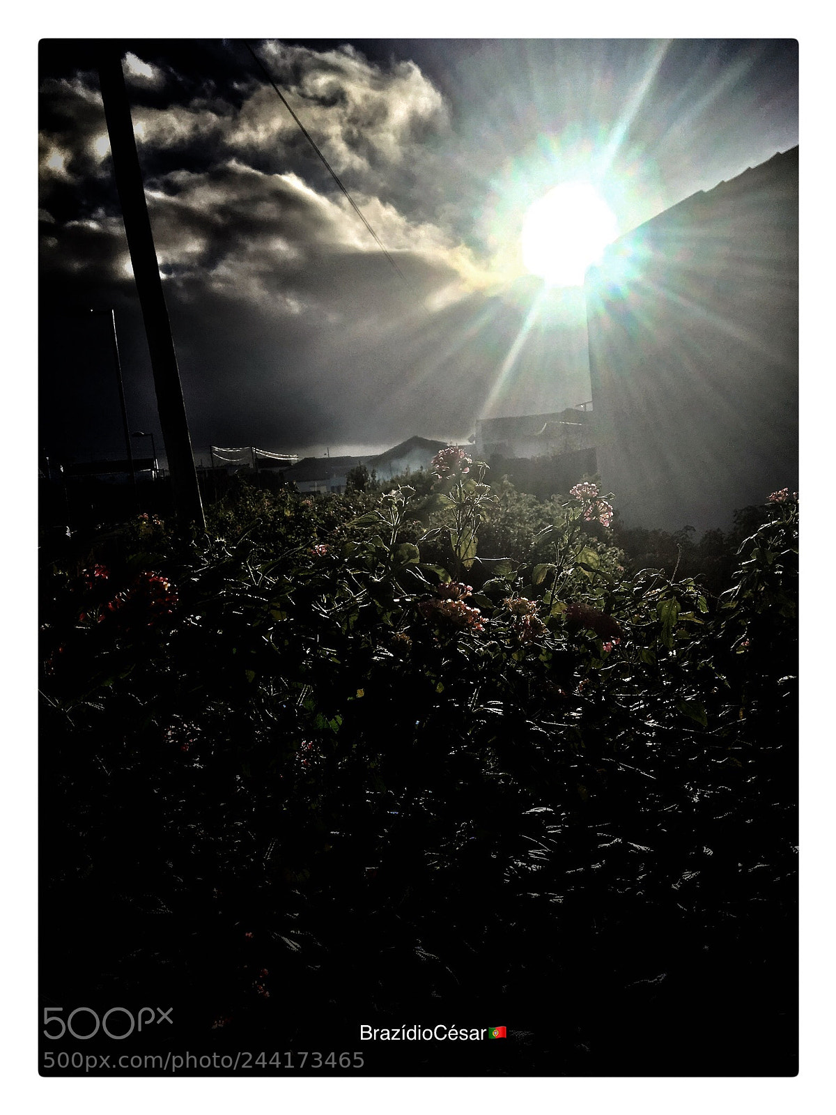 Apple iPhone 6s sample photo. Untitled photography
