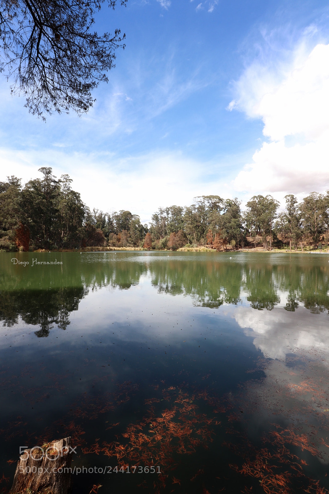 Canon EOS 800D (EOS Rebel T7i / EOS Kiss X9i) sample photo. Laguna en puebla photography