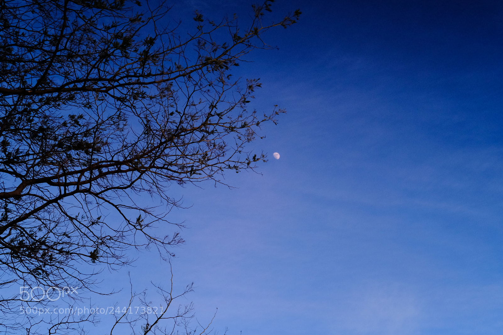 Fujifilm X-T20 sample photo. Dscf photography