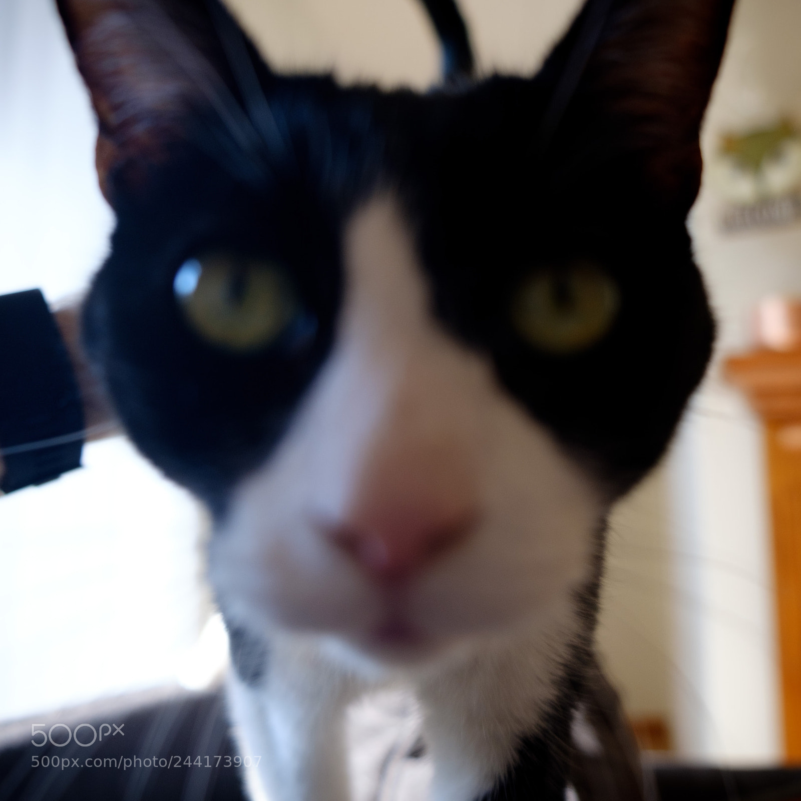 Fujifilm X-T2 sample photo. Paul selfie photography