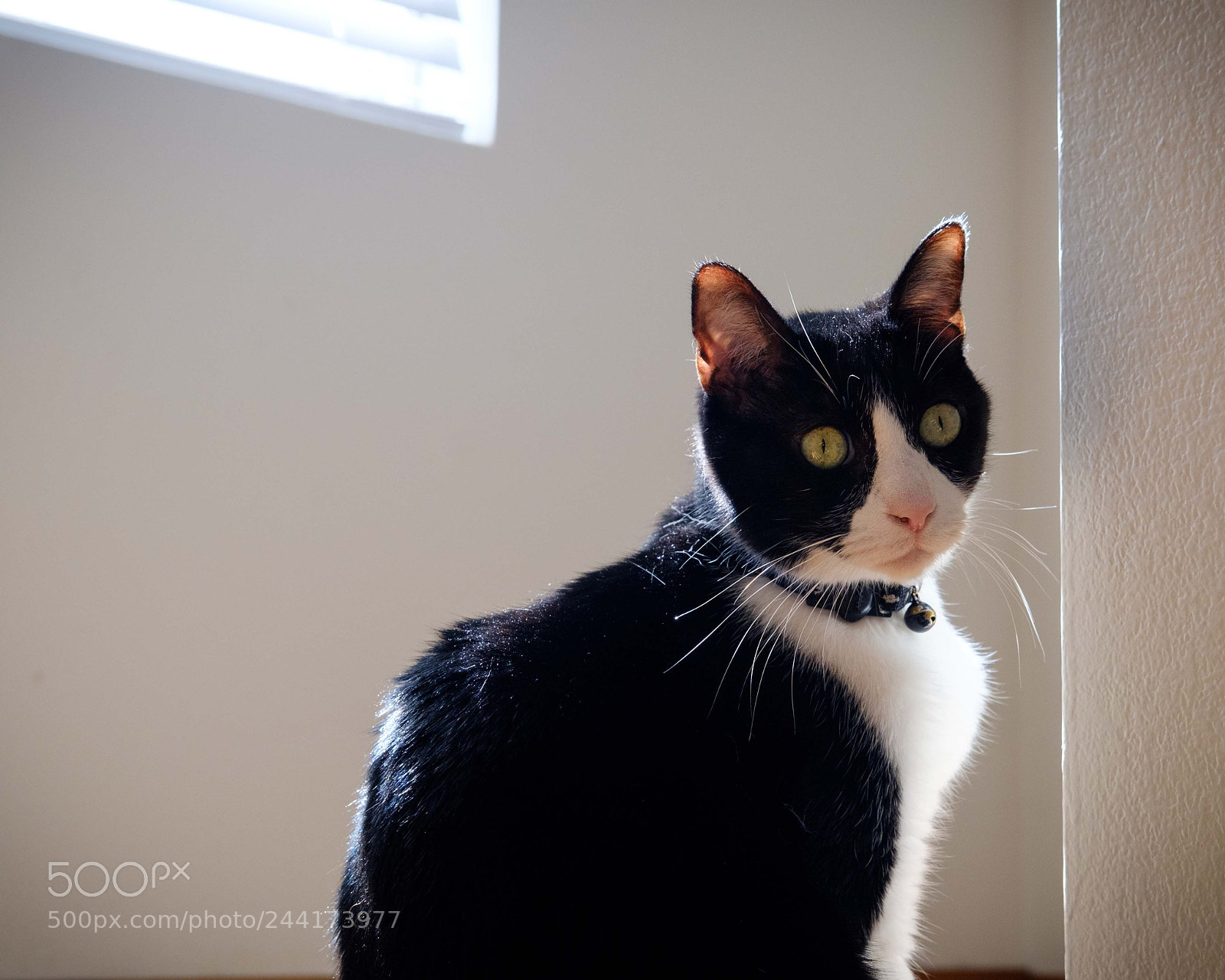 Fujifilm X-T2 sample photo. Pocket photography