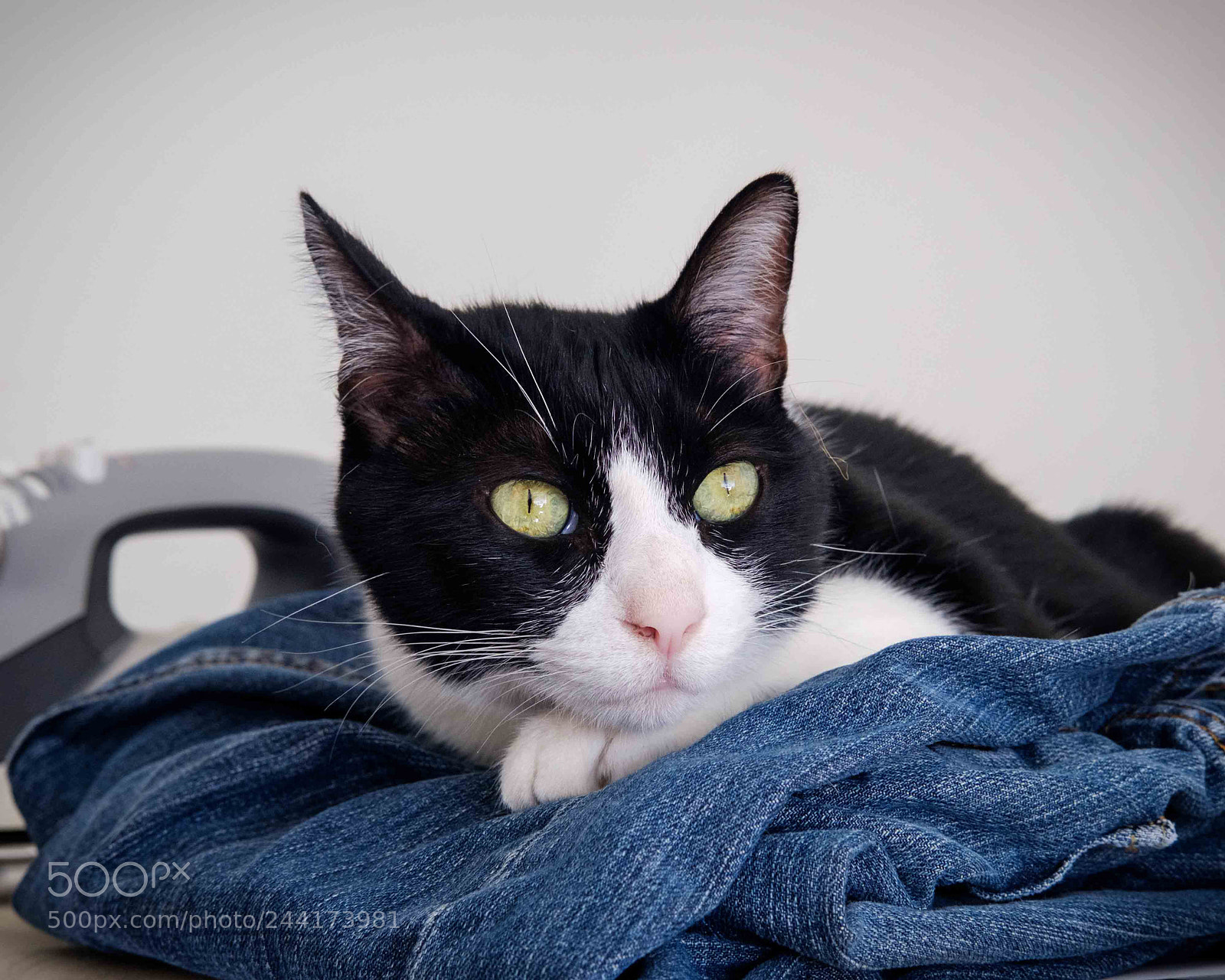 Fujifilm X-T2 sample photo. On my clean clothes photography