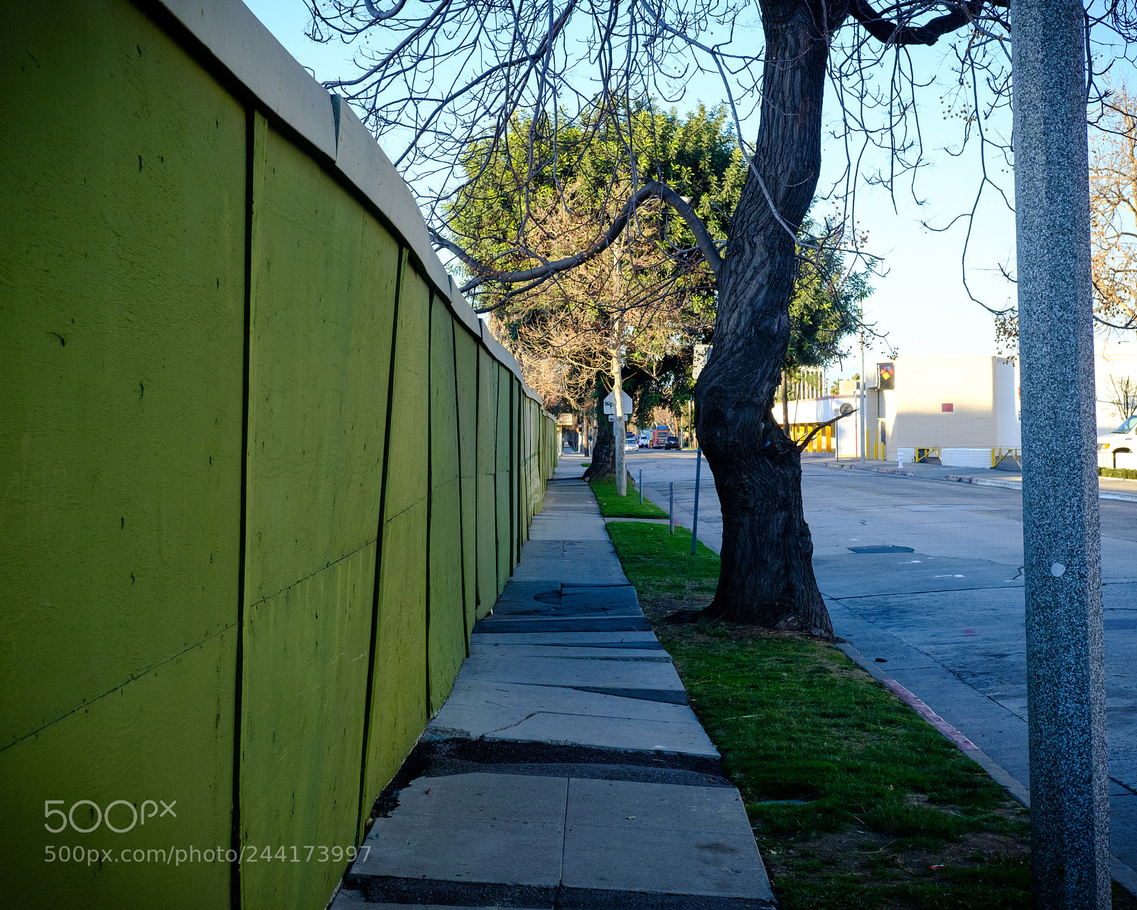 Fujifilm X-T2 sample photo. Path near progress photography
