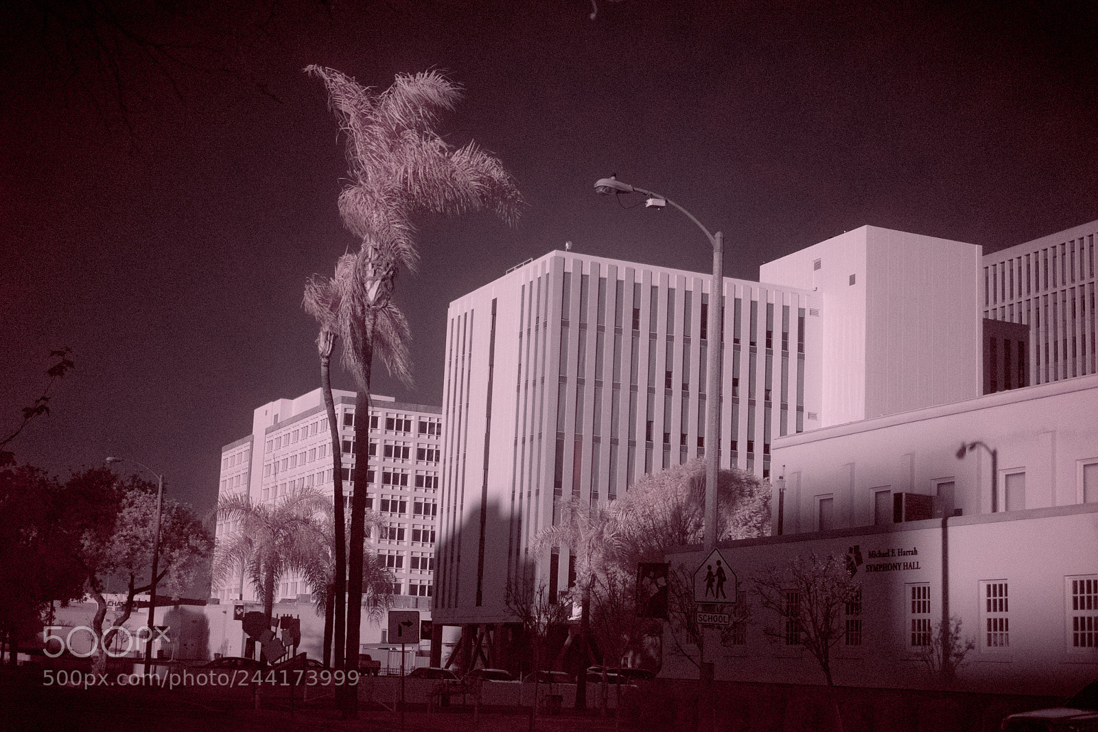 Fujifilm X-T2 sample photo. Ir photography