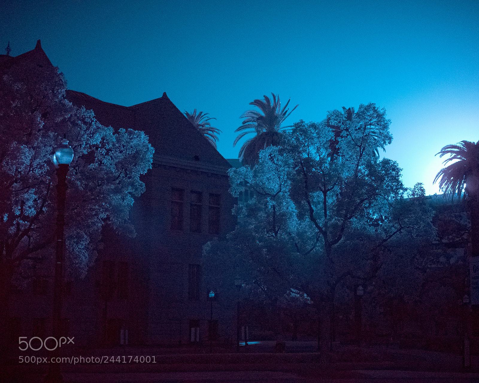 Fujifilm X-T2 sample photo. Ir photography
